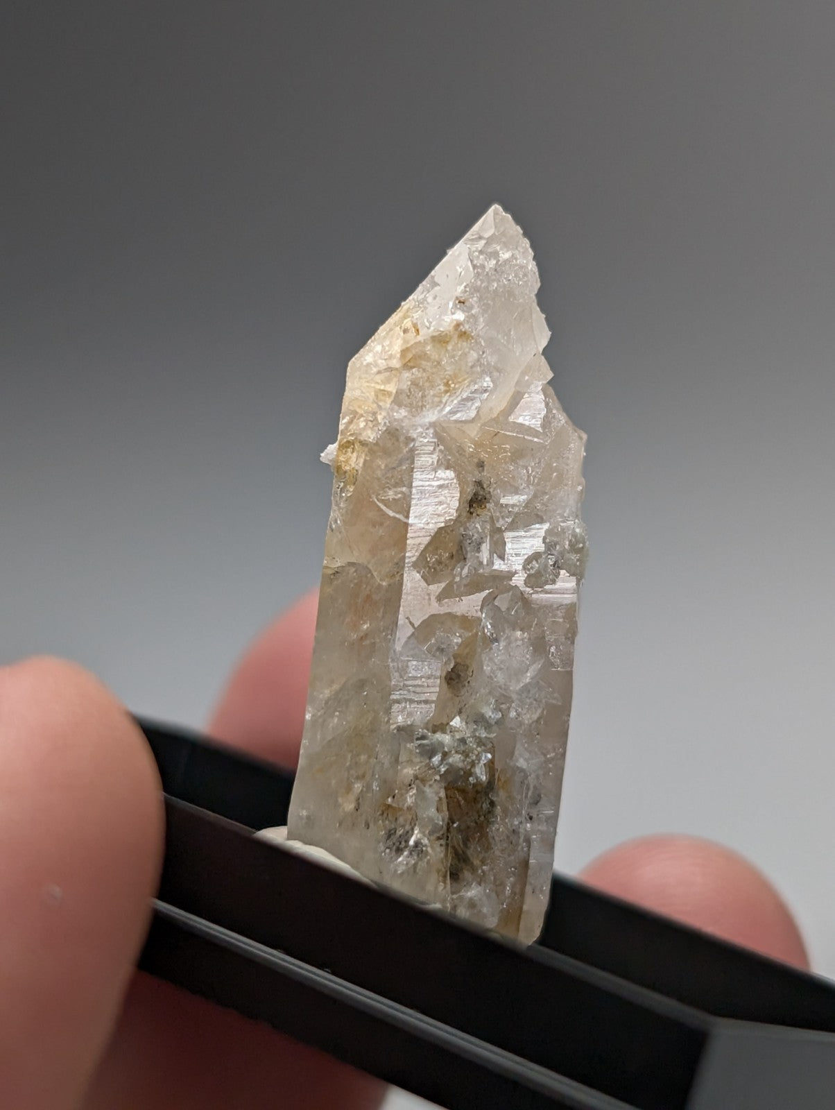 A translucent pale quartz crystal point with uv reactive cookeite from saline county arkansas held by black tweezers
