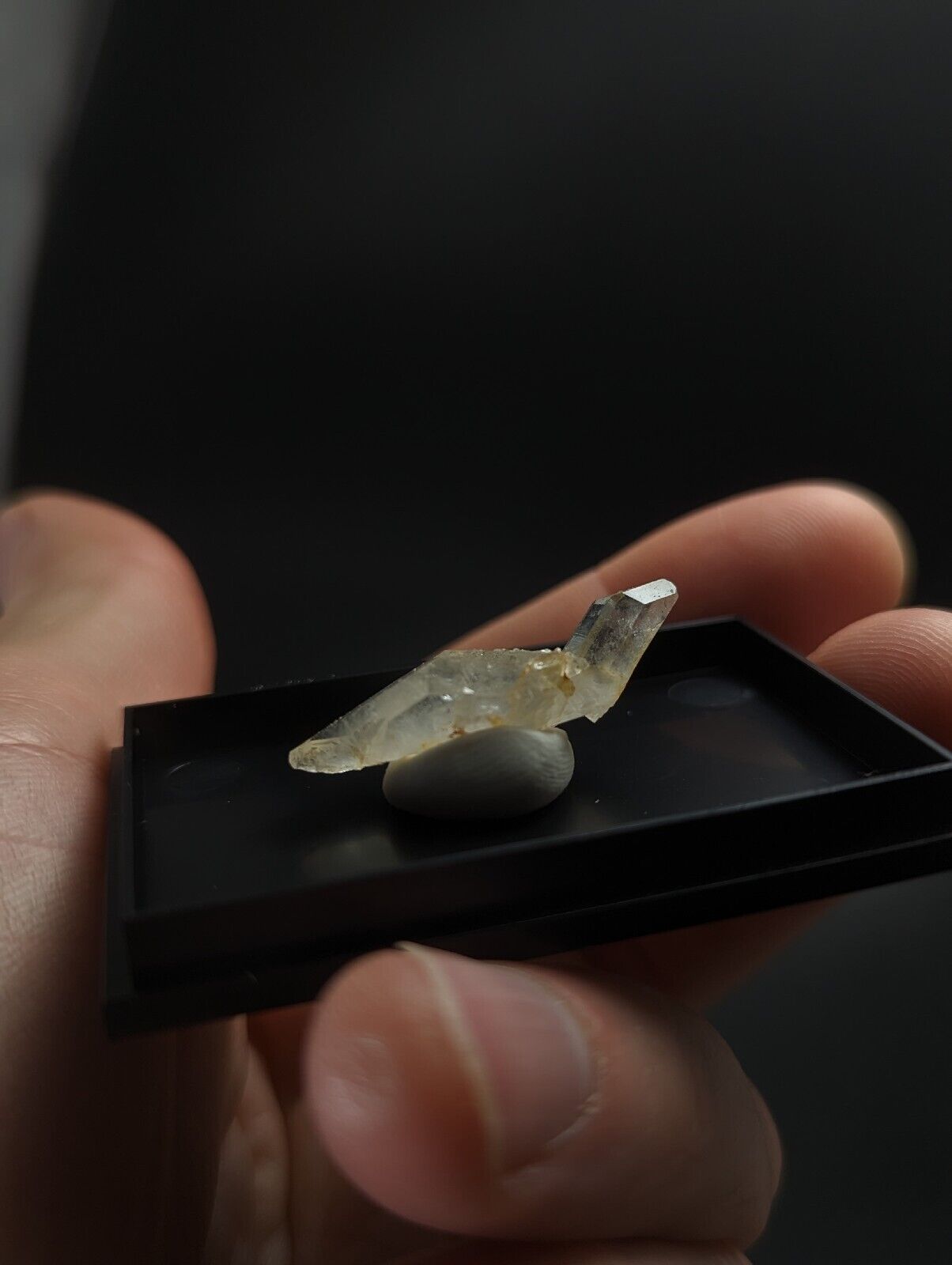 Translucent crystal specimen with golden inclusions.