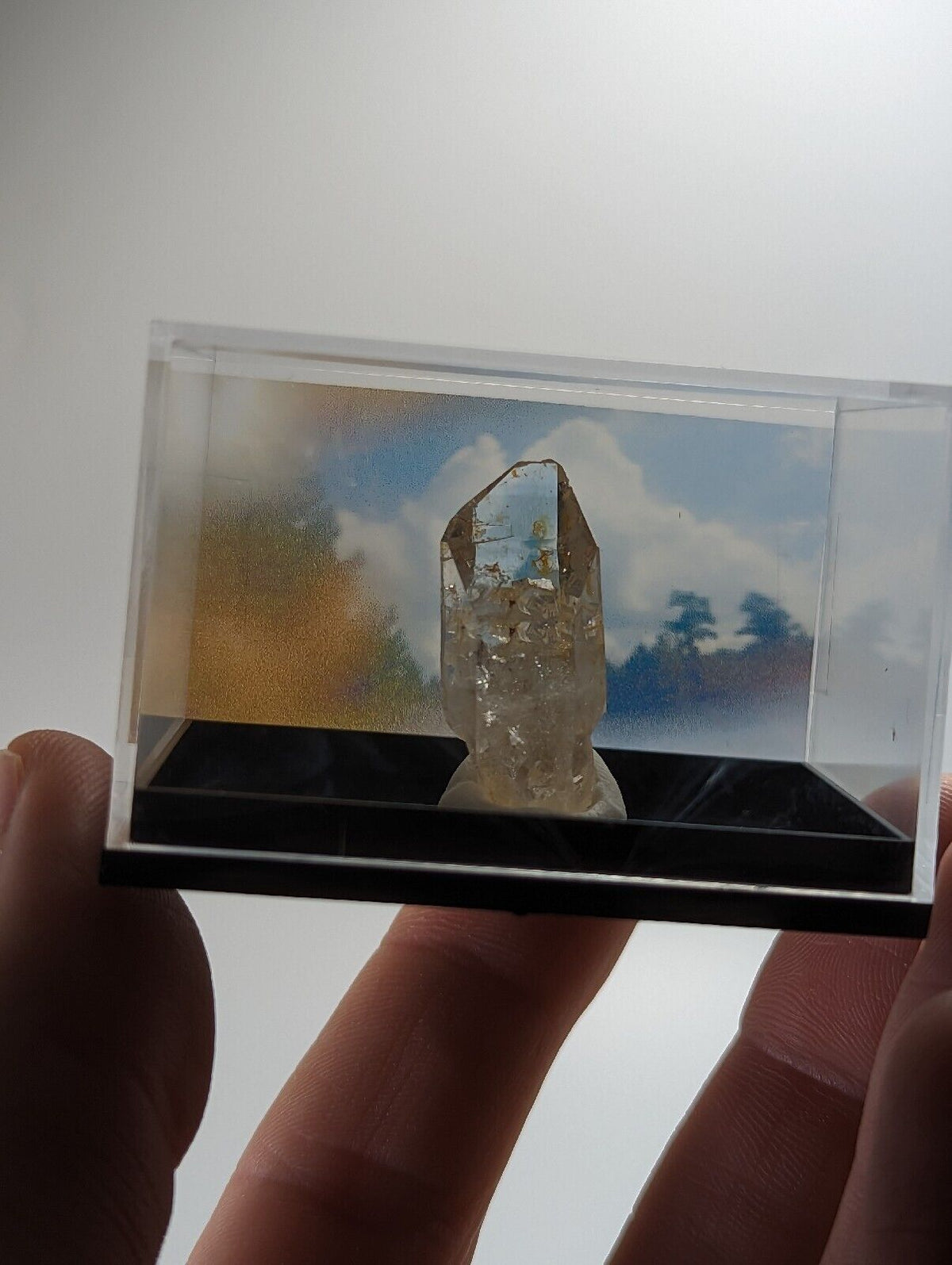 Quartz - Unique crystal w/ case - Old Stock - Garland County Arkansas ooak - Collectibles:Rocks Fossils &
