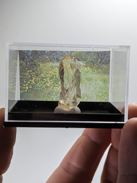 Quartz - Unique Crystal w/ photo case - Old Stock Arkansas USA ooak - Collectibles:Rocks Fossils & Minerals:Crystals