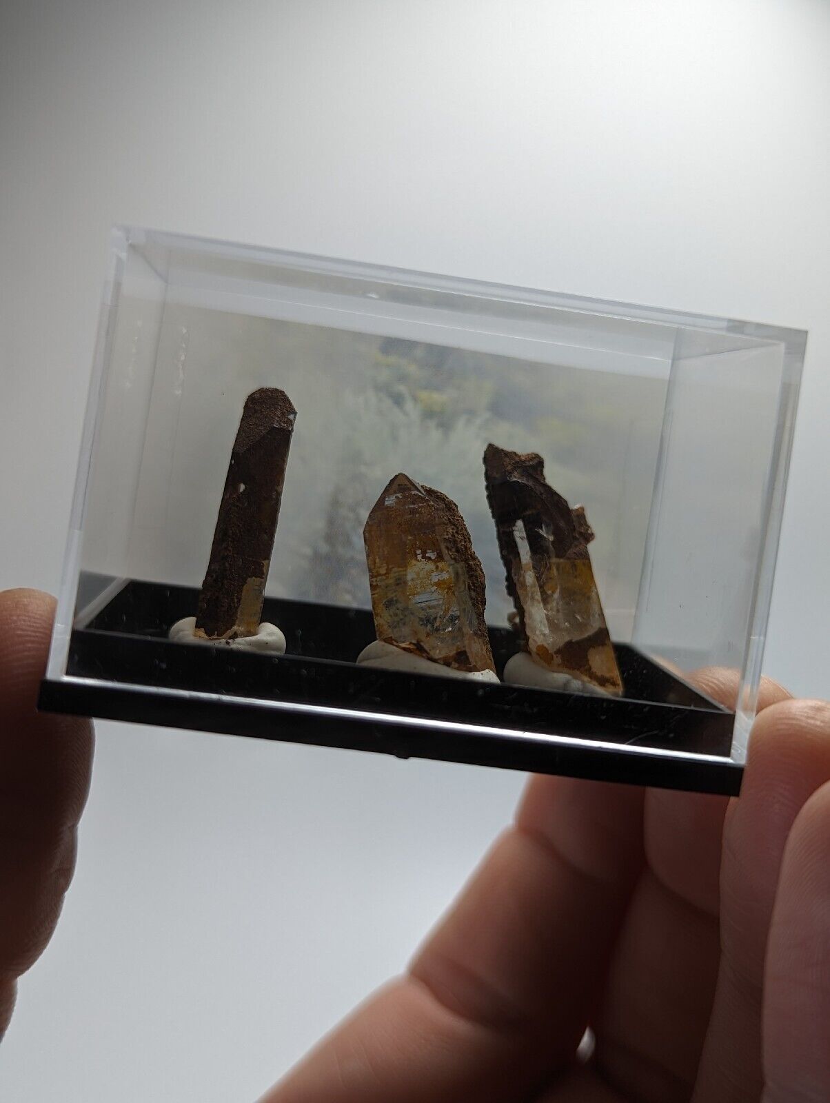 Three brown crystals in a display case.