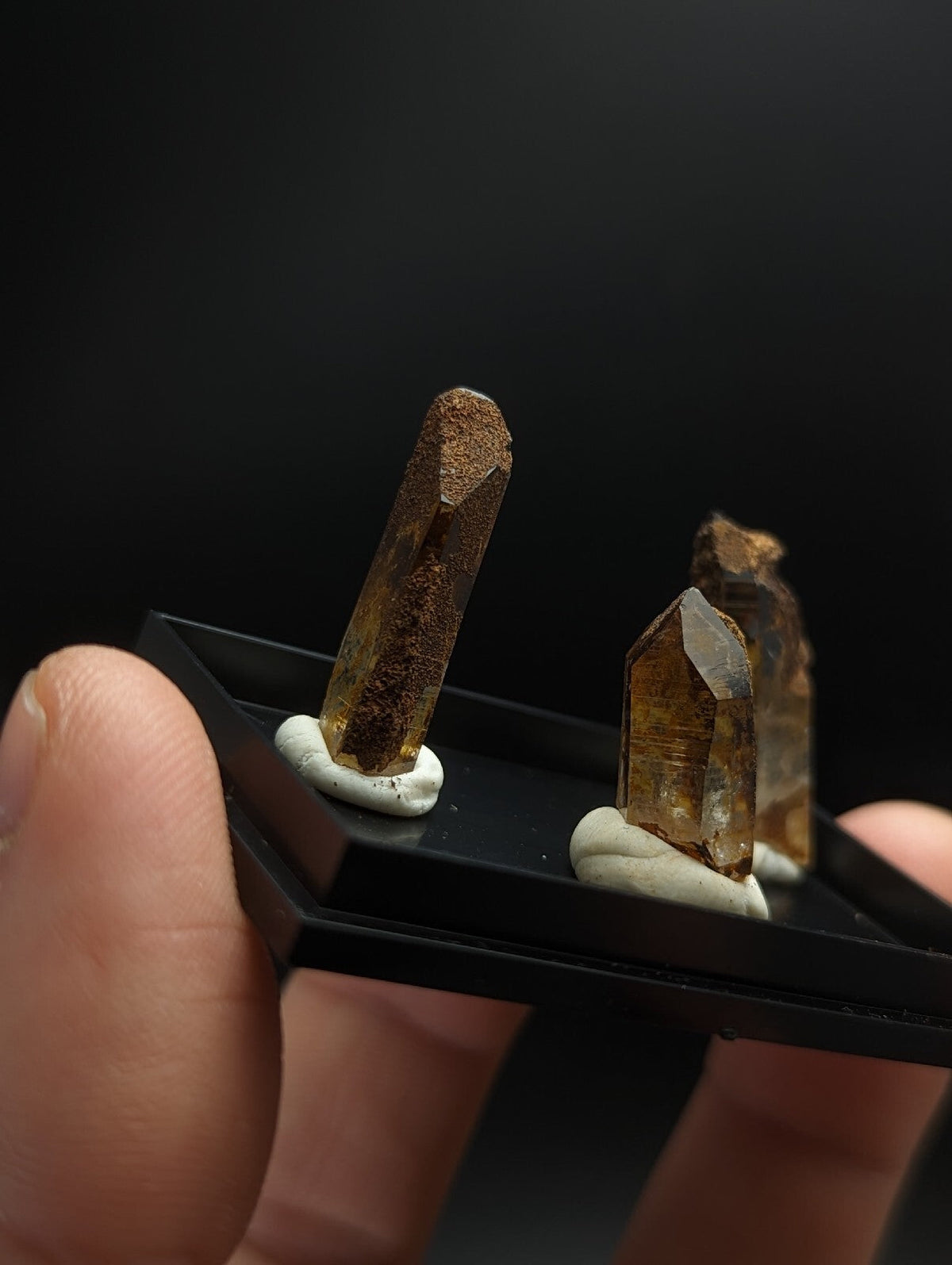 Two amber-hued, faceted crystal specimens with earthy brown caps are displayed in a black plastic stand.