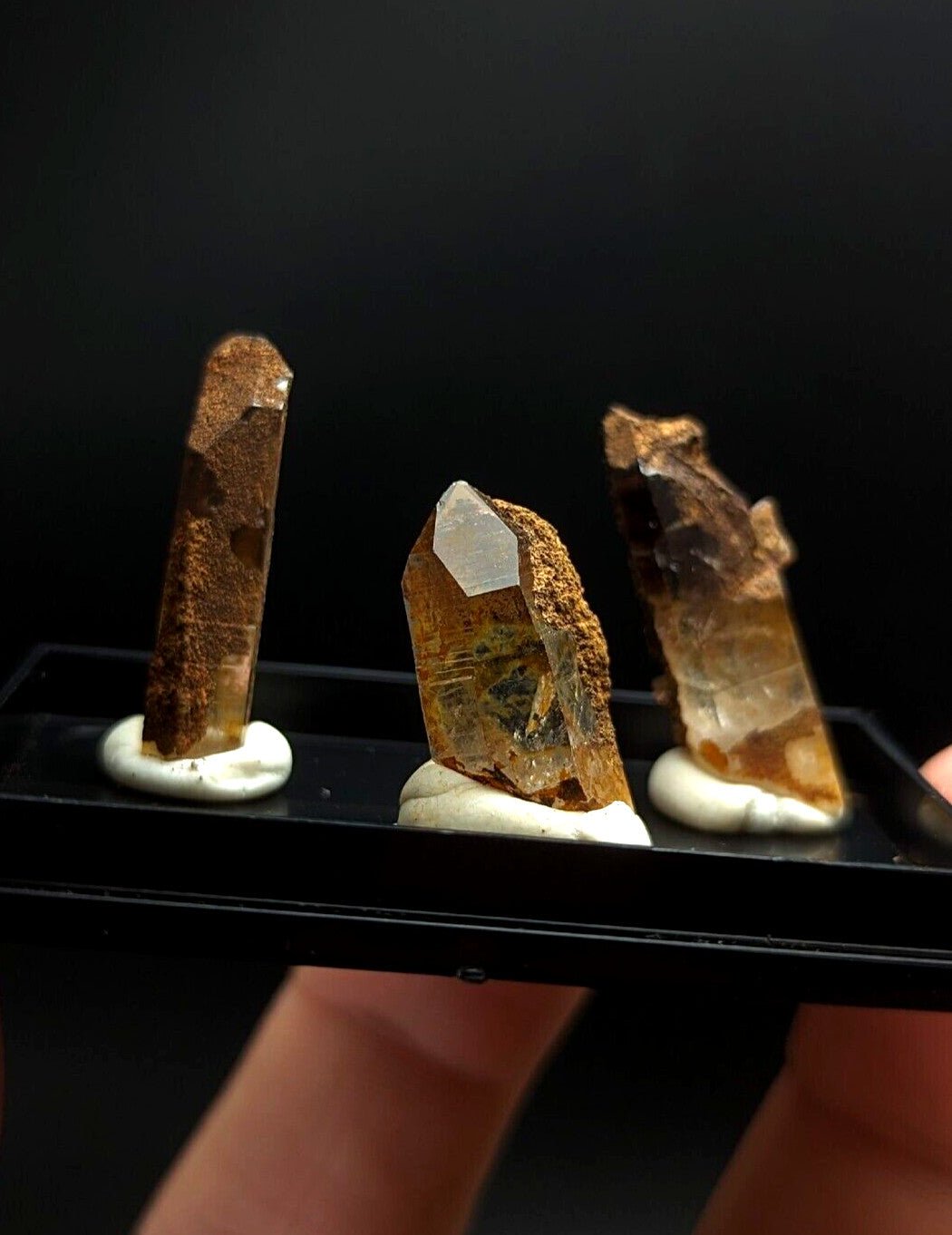 Three amber-hued quartz crystal specimens with earthy brown matrix, each mounted on a white circular base within a black display tray.