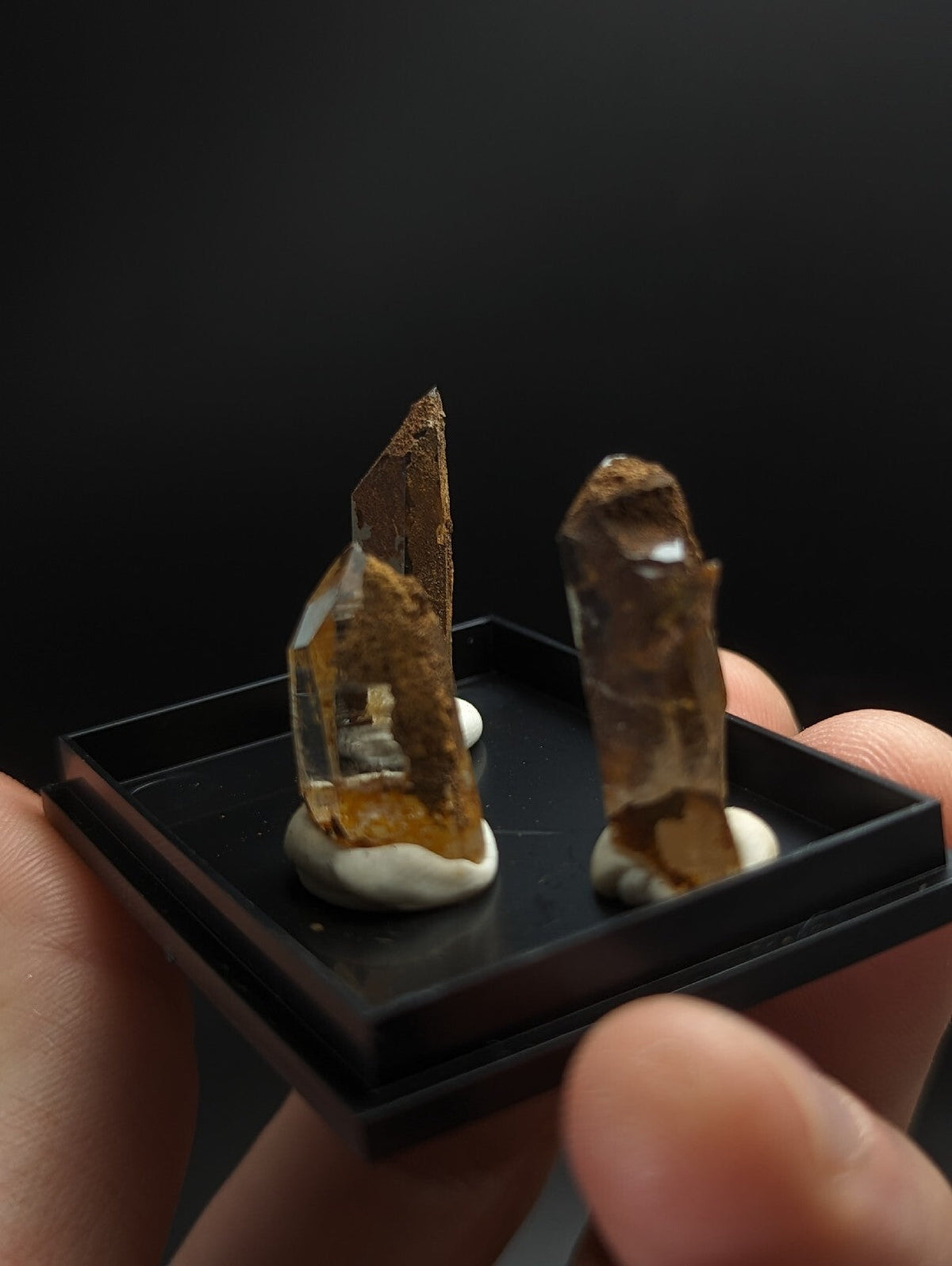 Two brown and transparent crystal specimens with natural, rough-edged formations are displayed in a black rectangular display case.