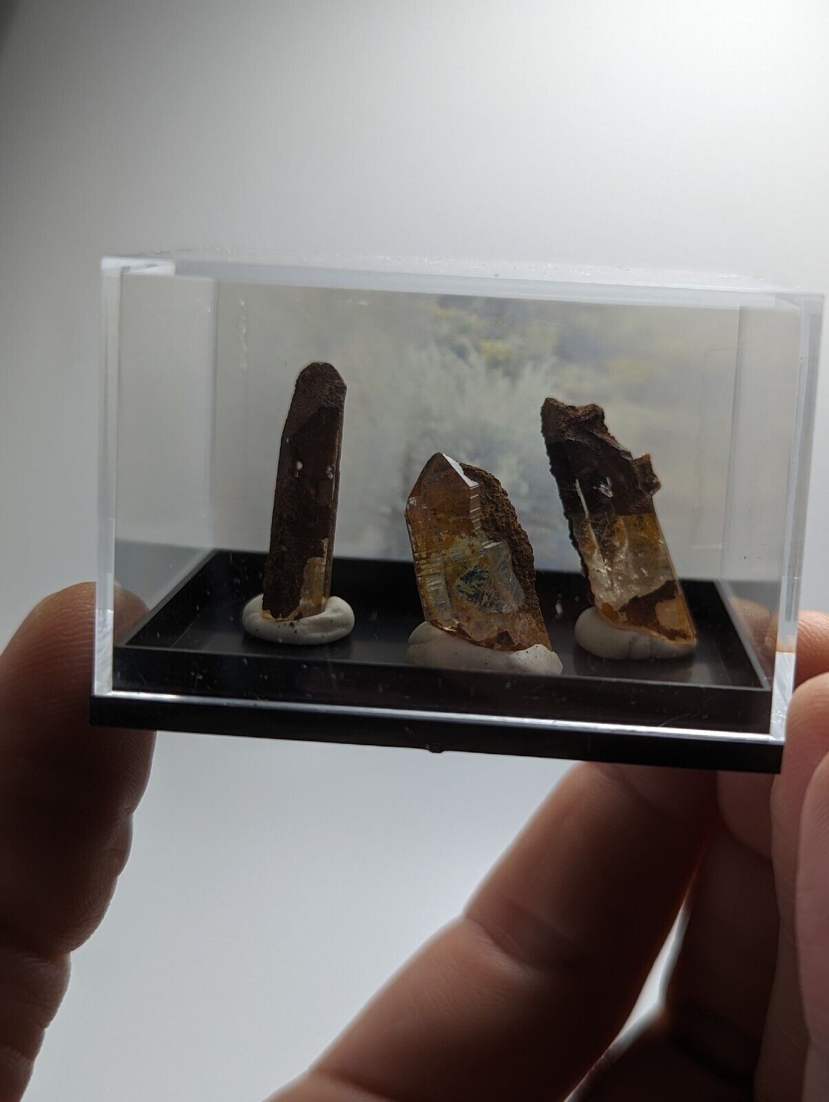 Three brown crystals in a display case.