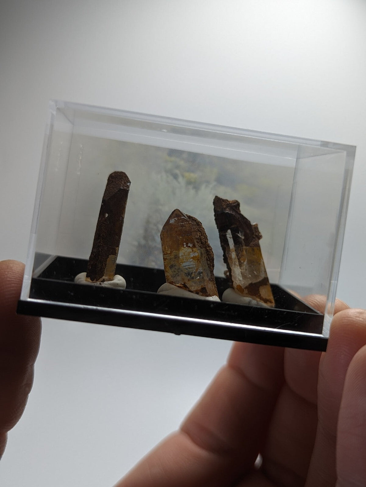 A clear plastic display case holding three brown and amber-colored crystal specimens on a black base.