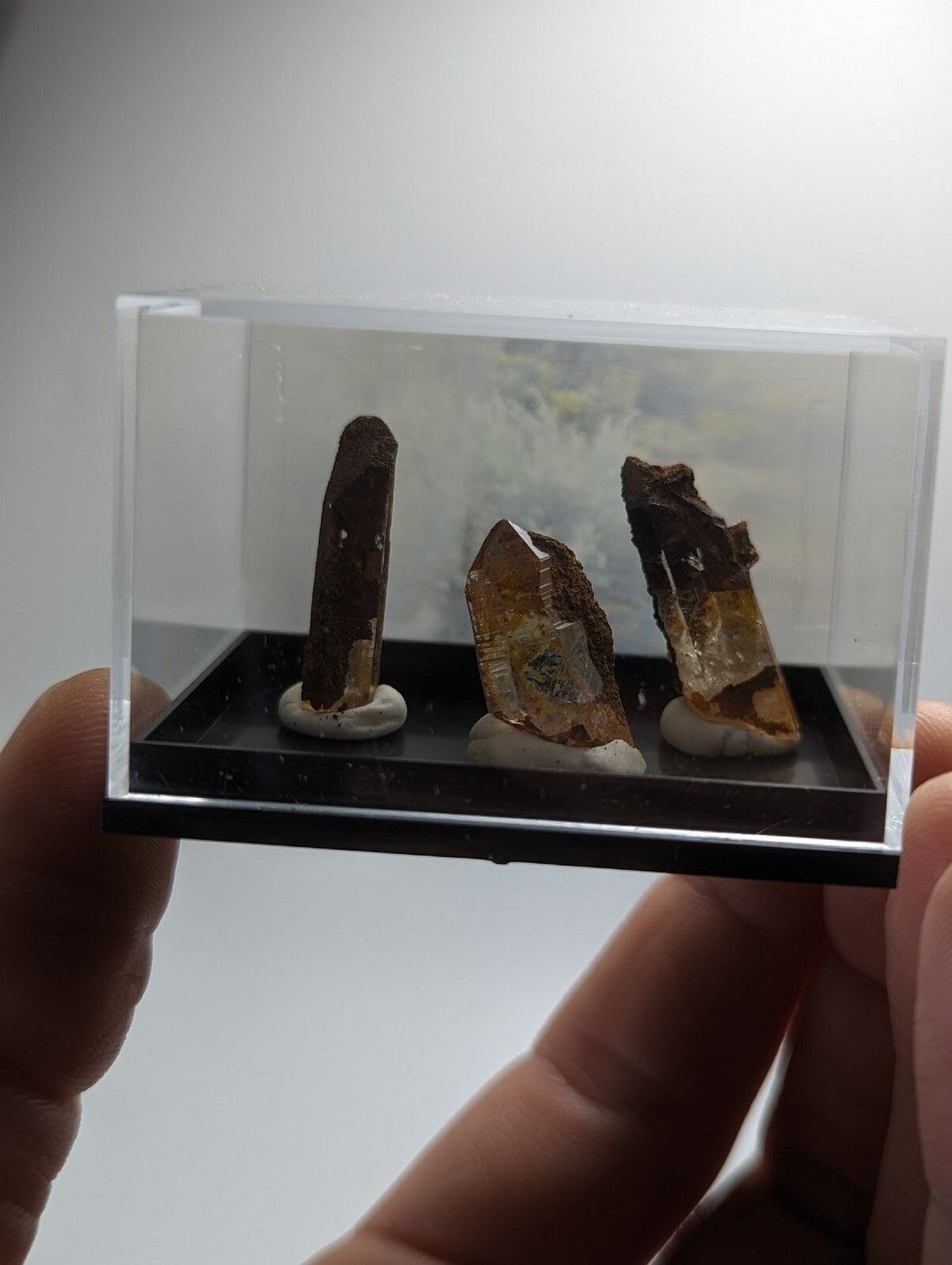 A clear acrylic display case holding three distinct mineral specimens, each mounted on a white base.
