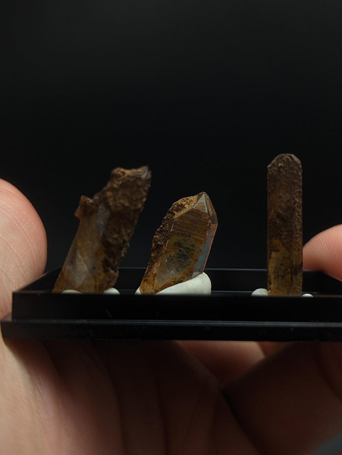 Three brownish, translucent crystal specimens with rough and polished surfaces are displayed in a black tray.
