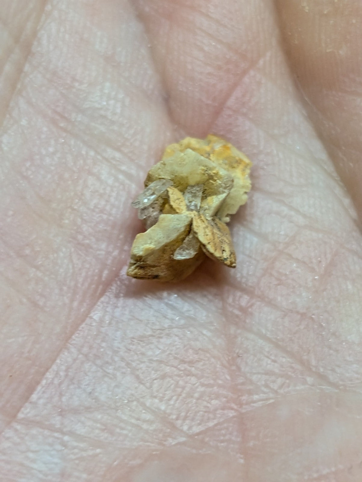 A small, irregularly shaped piece of yellowish gold with visible crystalline facets and a rough, natural texture.