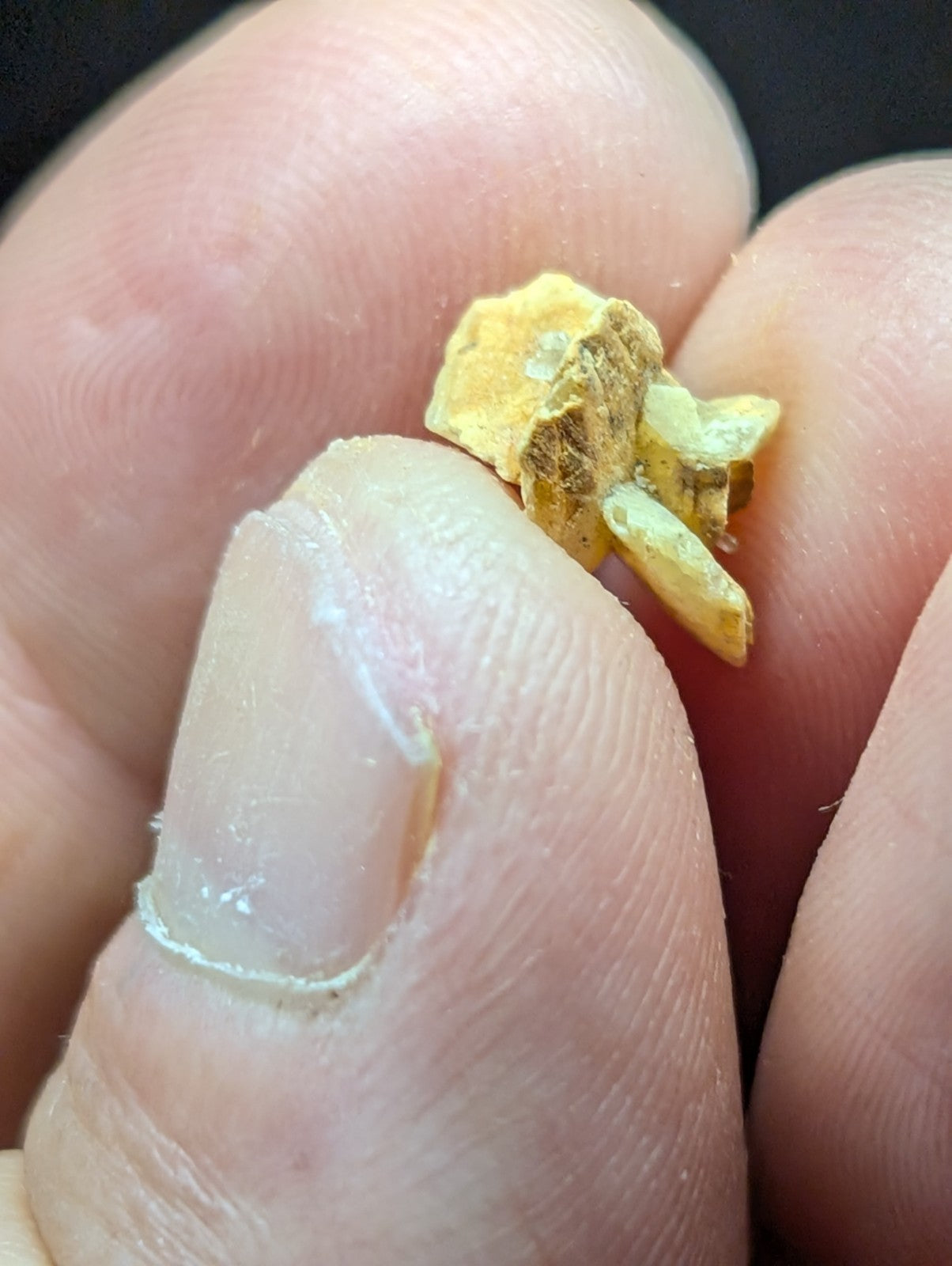 A small, irregularly shaped fragment of yellowish-brown material with a rough texture and visible mineral-like surface.