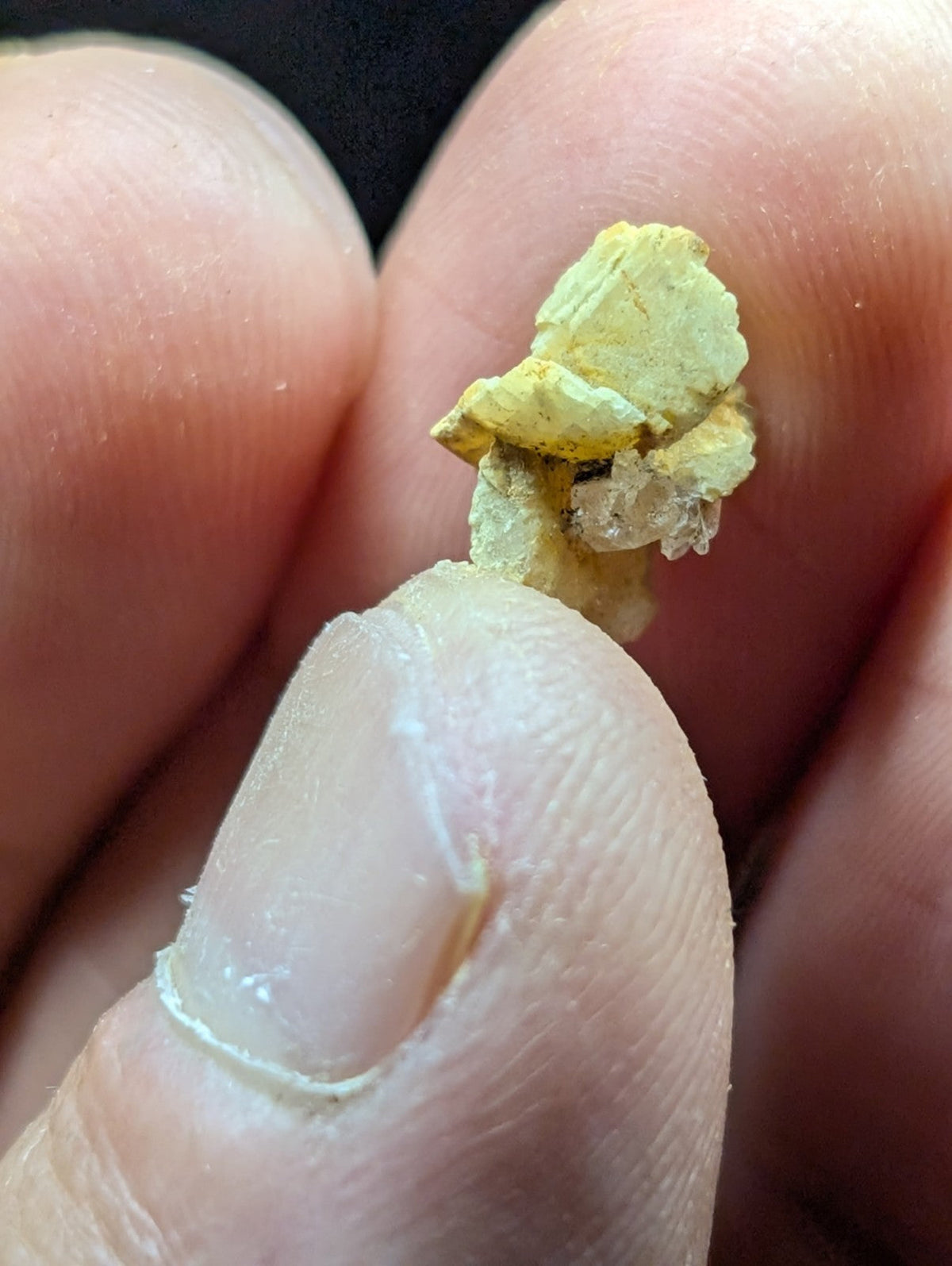 A small, irregularly shaped piece of pale yellowish-green mineral with a rough, textured surface and some translucent areas.