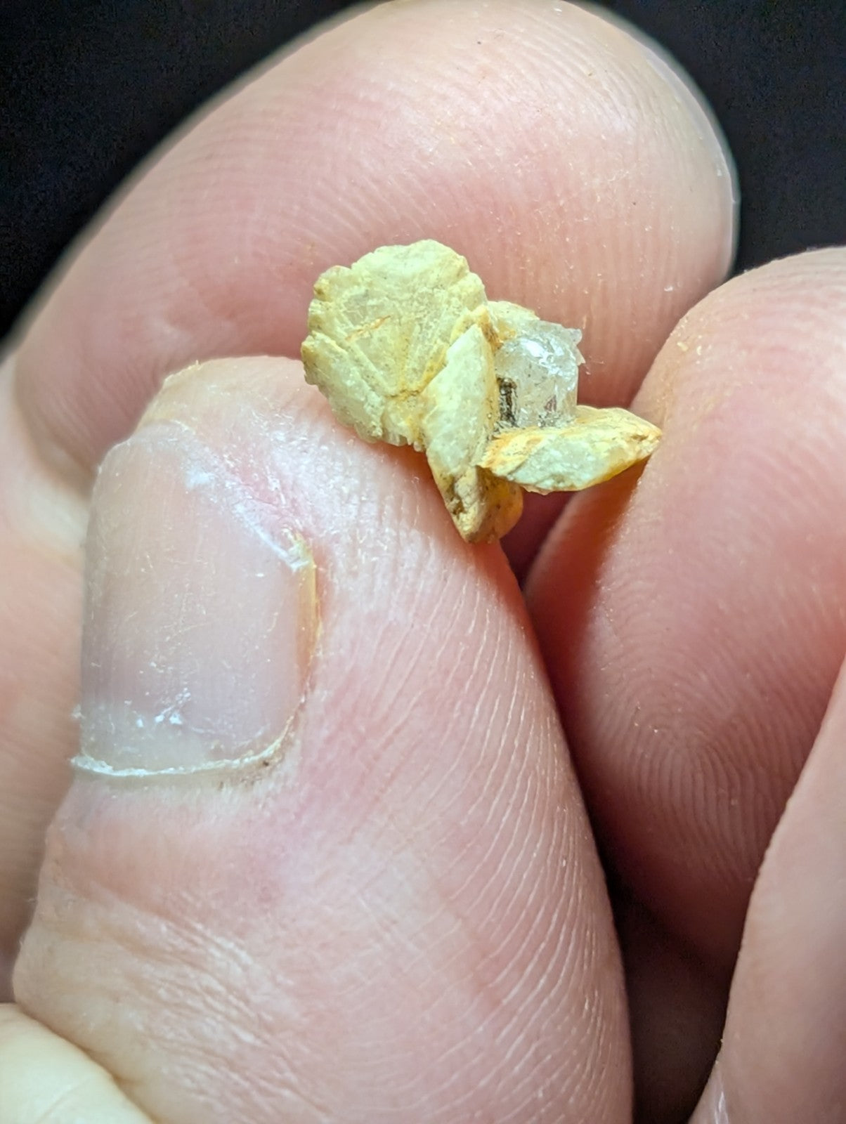 A small, irregularly shaped piece of yellowish gold with a rough, crystalline texture and some translucent areas.