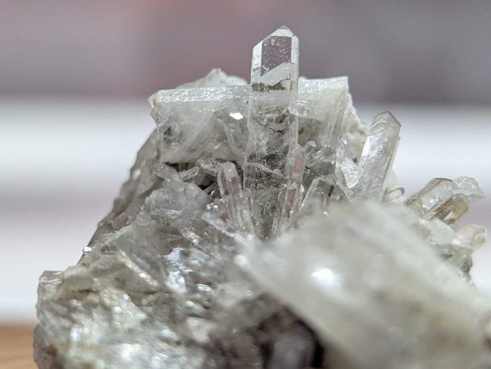 A cluster of clear, translucent quartz crystals with sharp, faceted points emerging from a rough, grayish rock base.