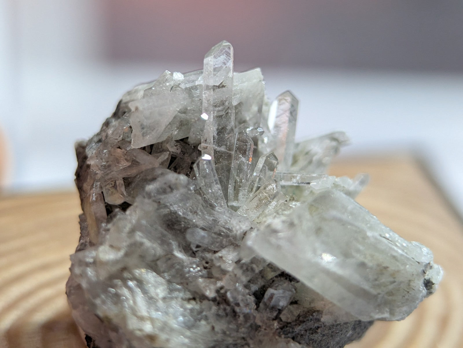 A cluster of clear, translucent quartz crystals growing from a dark gray rock base.