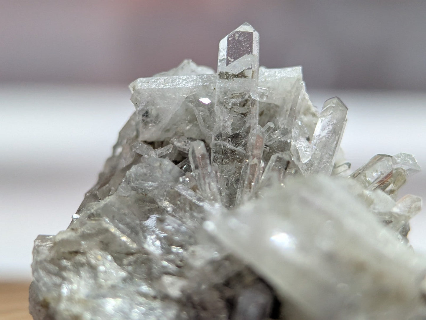 A cluster of clear, translucent quartz crystals with sharp, faceted points emerging from a rough, grayish rock base.