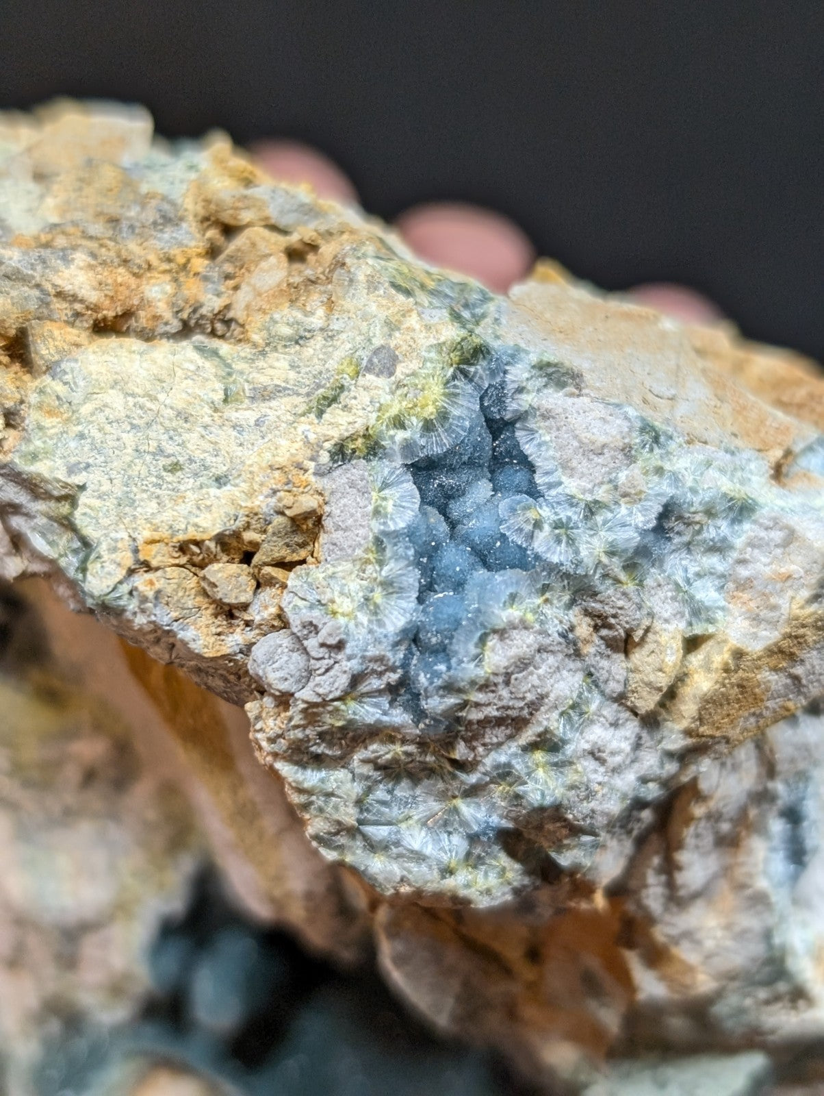A striking blue-green mineral specimen with a crystalline, fan-like structure embedded in a rough, earthy matrix of tan and gray rock.