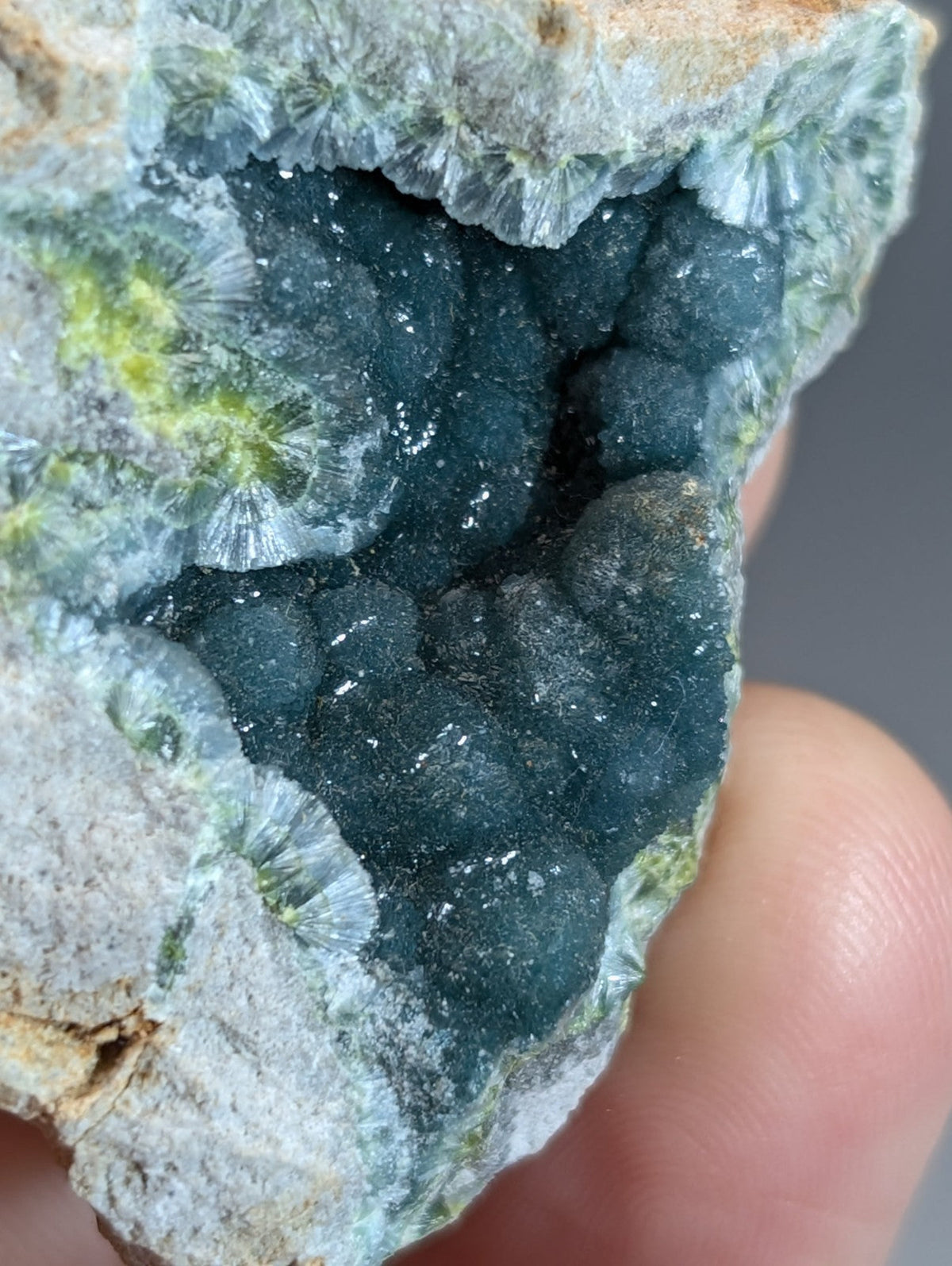 A striking dark blue rare wavellite geode with intricate fan-shaped crystals from delinde claim Arkansas
