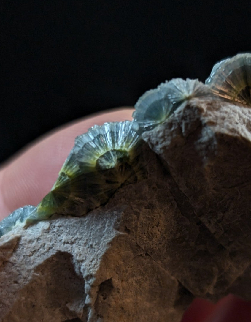 A translucent green and blue crystalline mineral formation with a fan-like, radiating pattern.