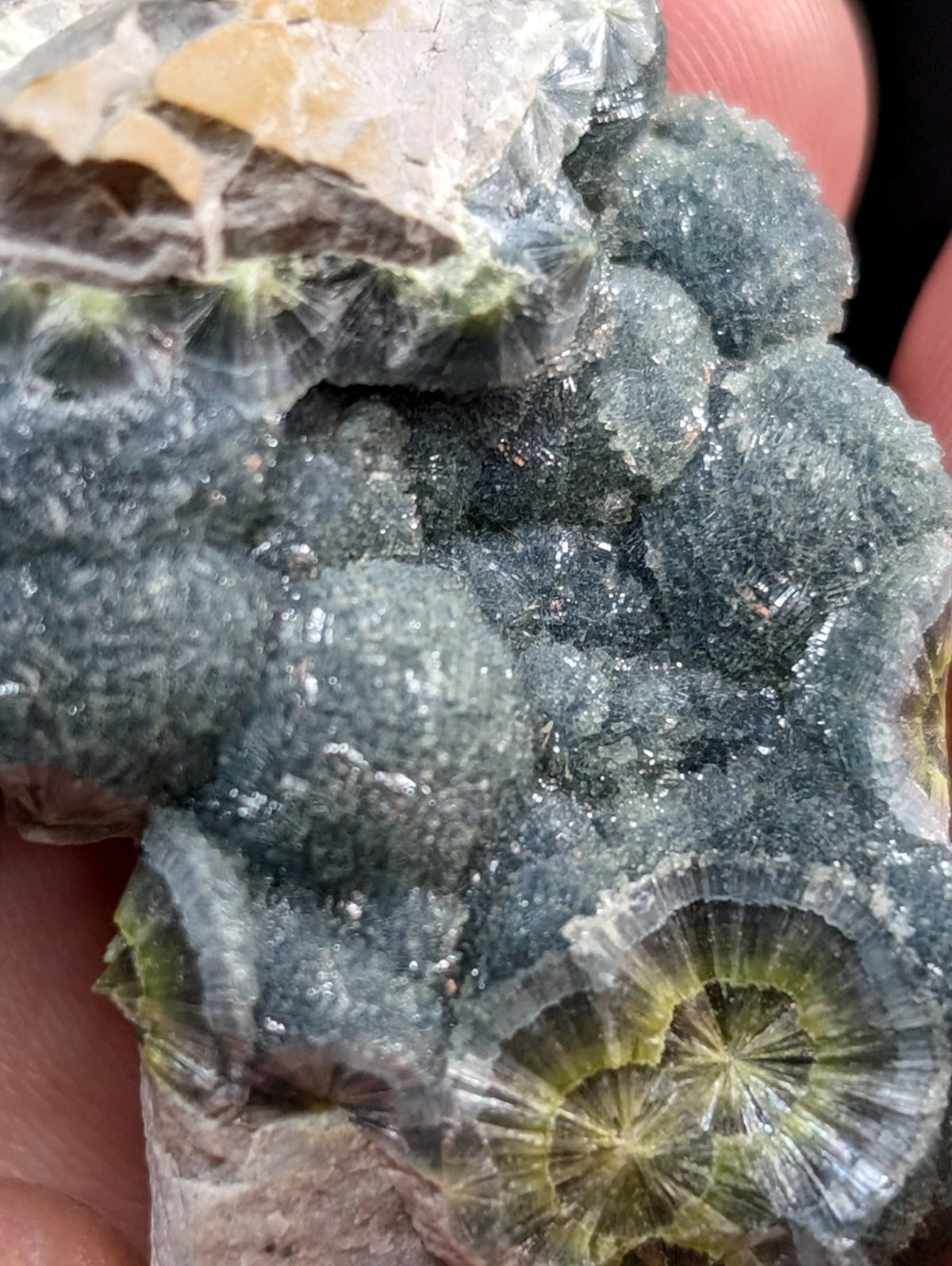 A cluster of dark green, translucent fossilized coral with radiating yellow-green centers and a rough, crystalline texture.
