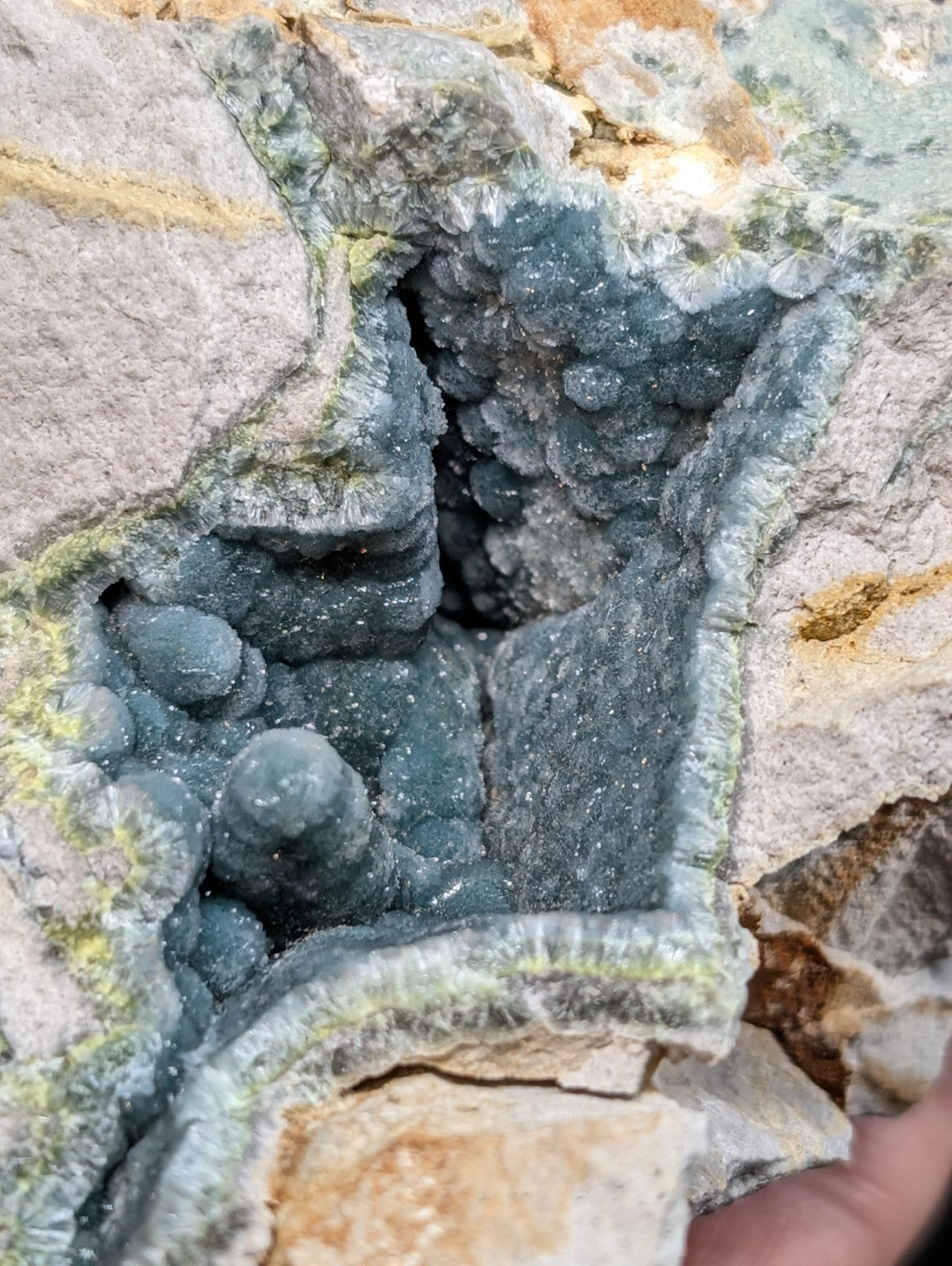 A dark blue, textured mineral formation with rounded nodules and a crystalline surface embedded within lighter gray rock.