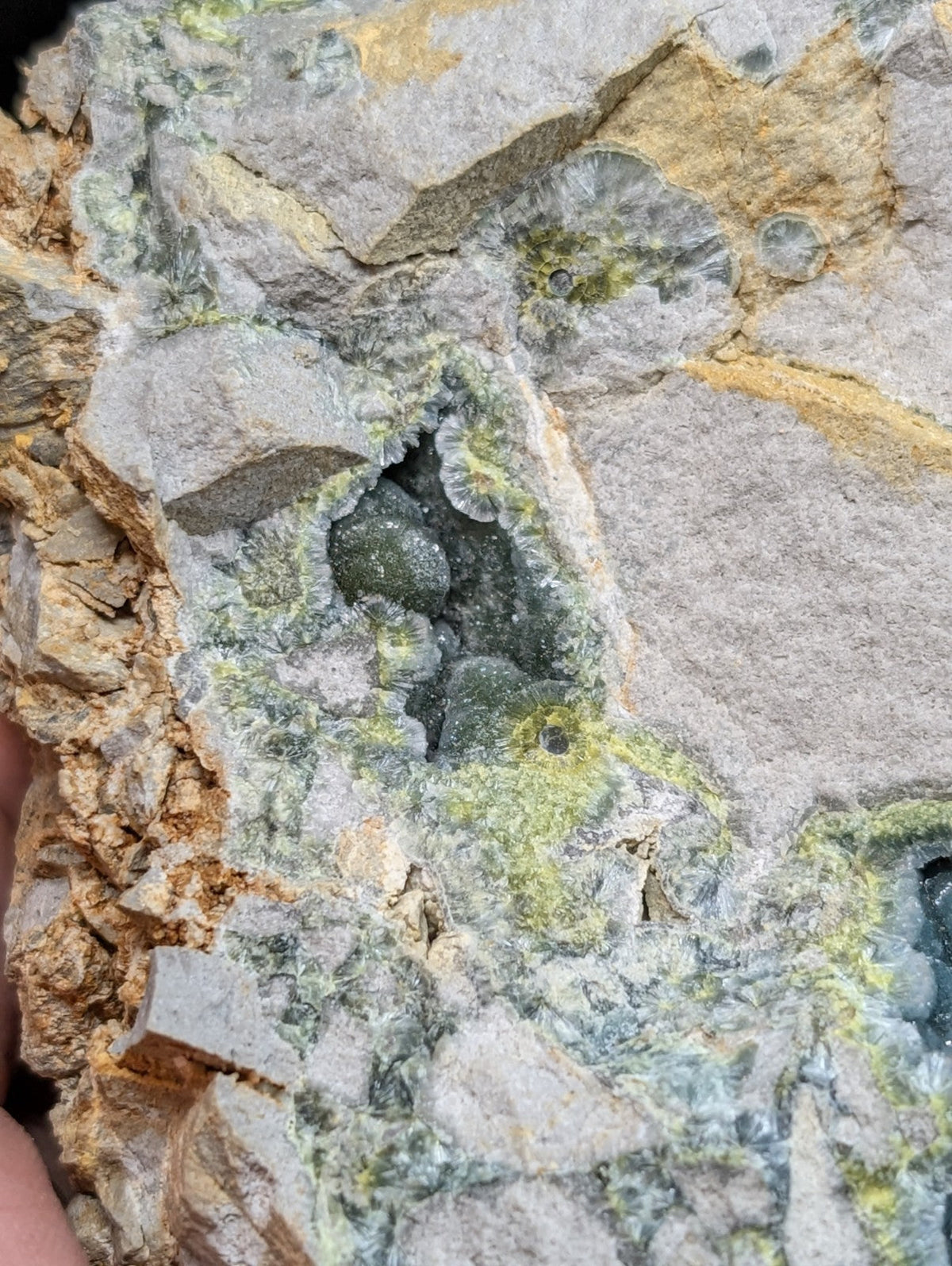 A cluster of dark green, rounded mineral formations nestled within a textured matrix of gray and yellowish rock.