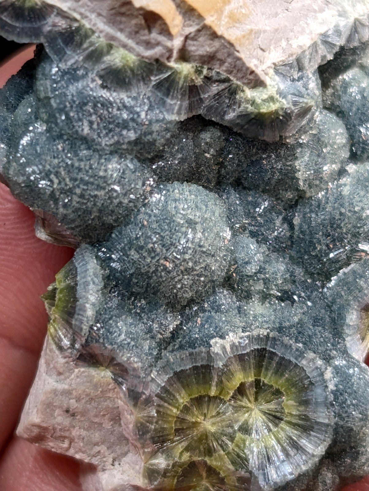 A dark gray, crystalline mineral specimen with translucent green and yellow radiating patterns.