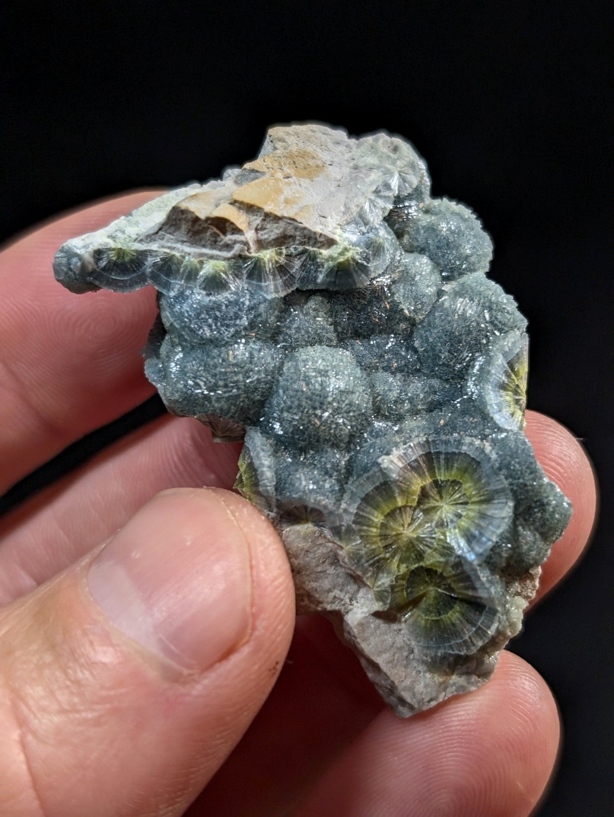 A hand holds a cluster of grayish-blue fossilized coral with translucent, radiating green and yellow centers.
