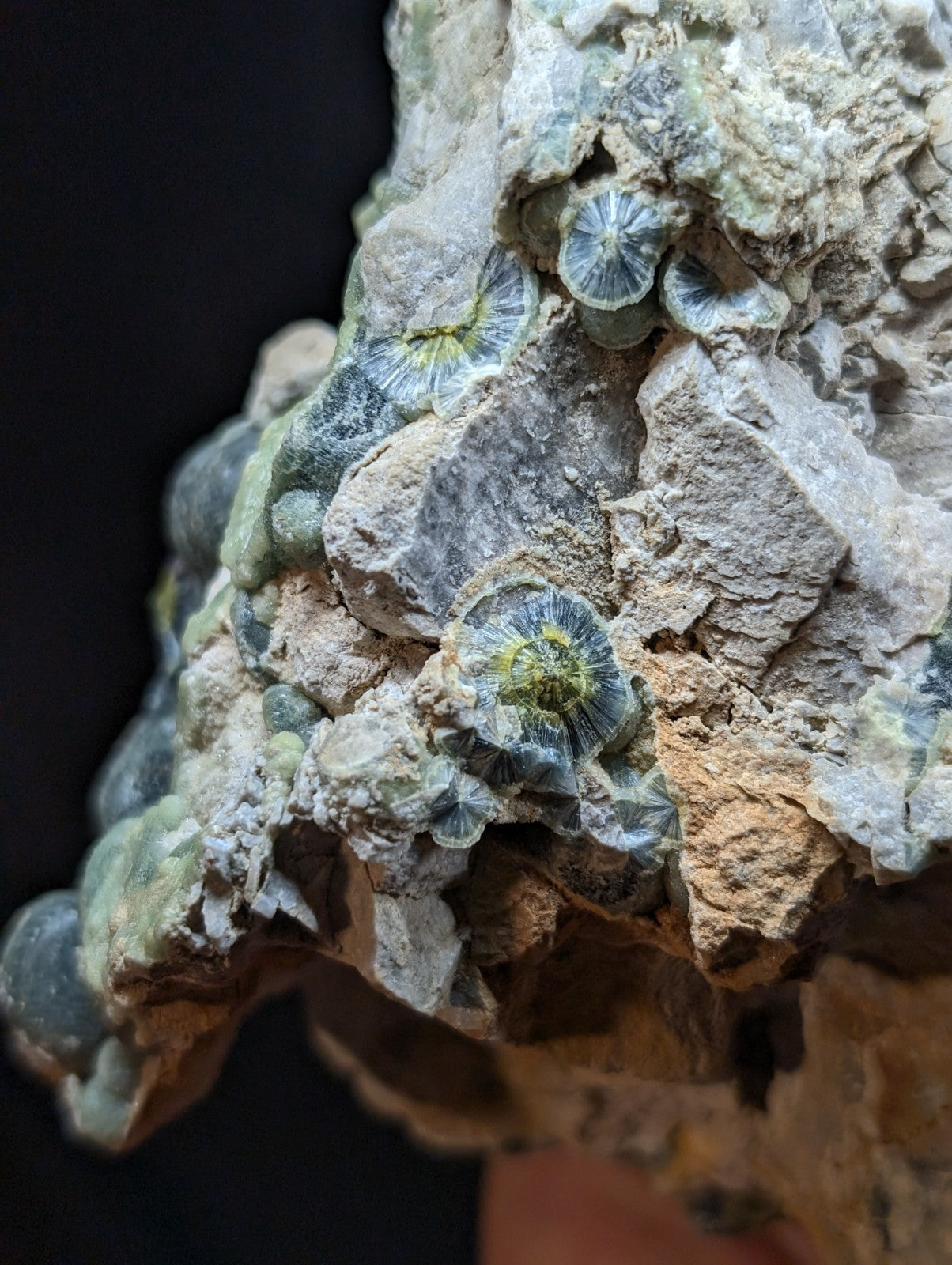 A cluster of translucent, greenish-blue spiral-shaped crystals growing on a rough-textured gray rock.