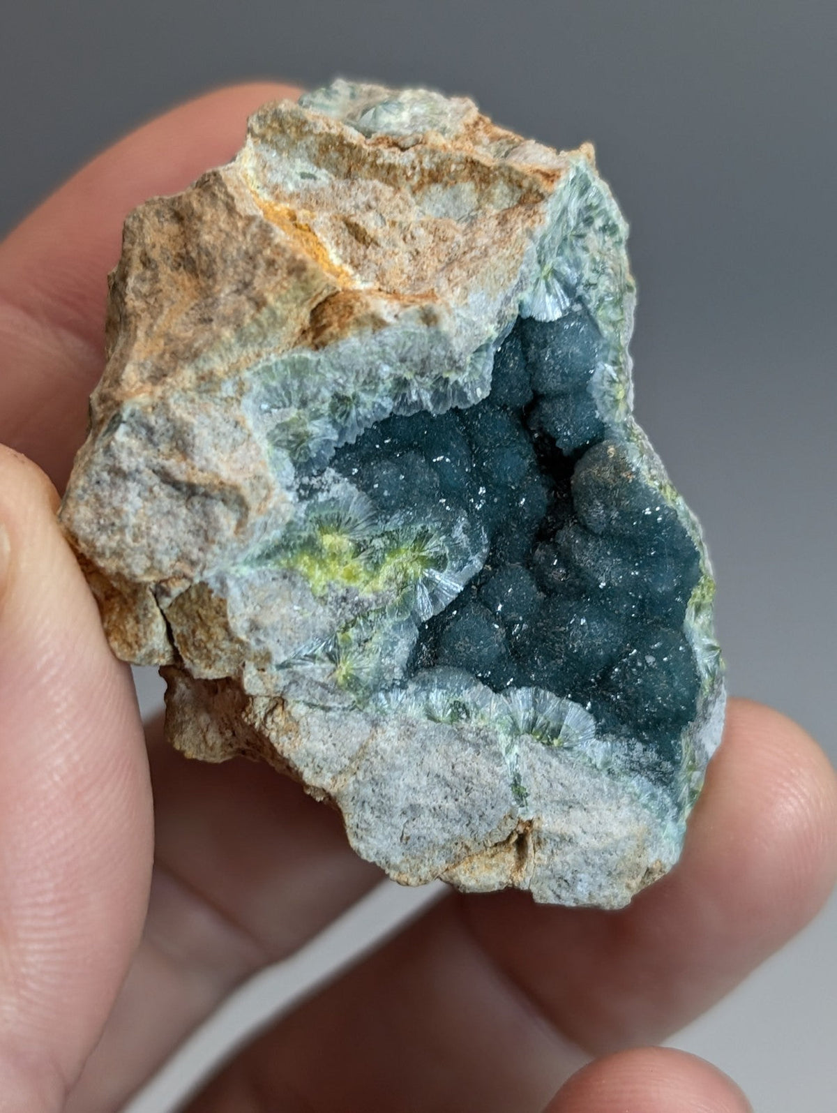 A hand holds a rare blue and green wavellite geode with deep blue crystals from Delinde Claim Arkansas