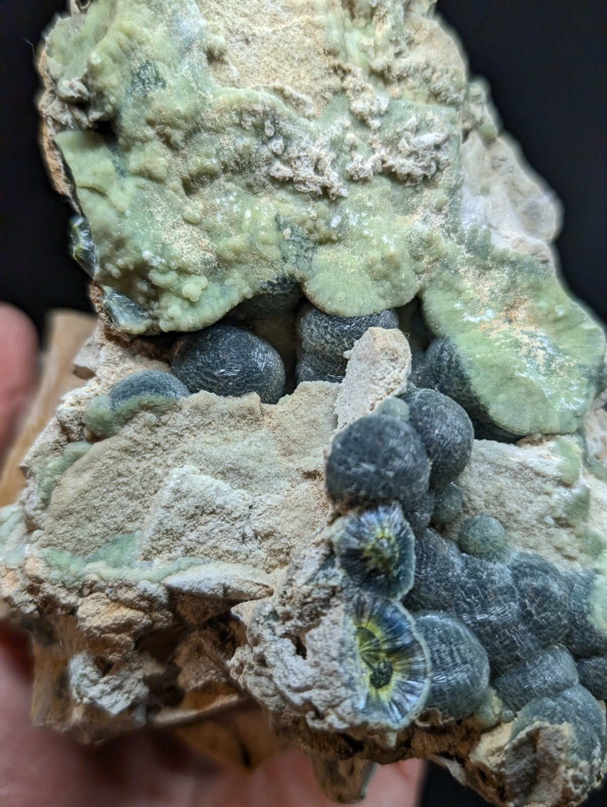 A striking green and gray fossilized coral specimen with intricate, bulbous formations.