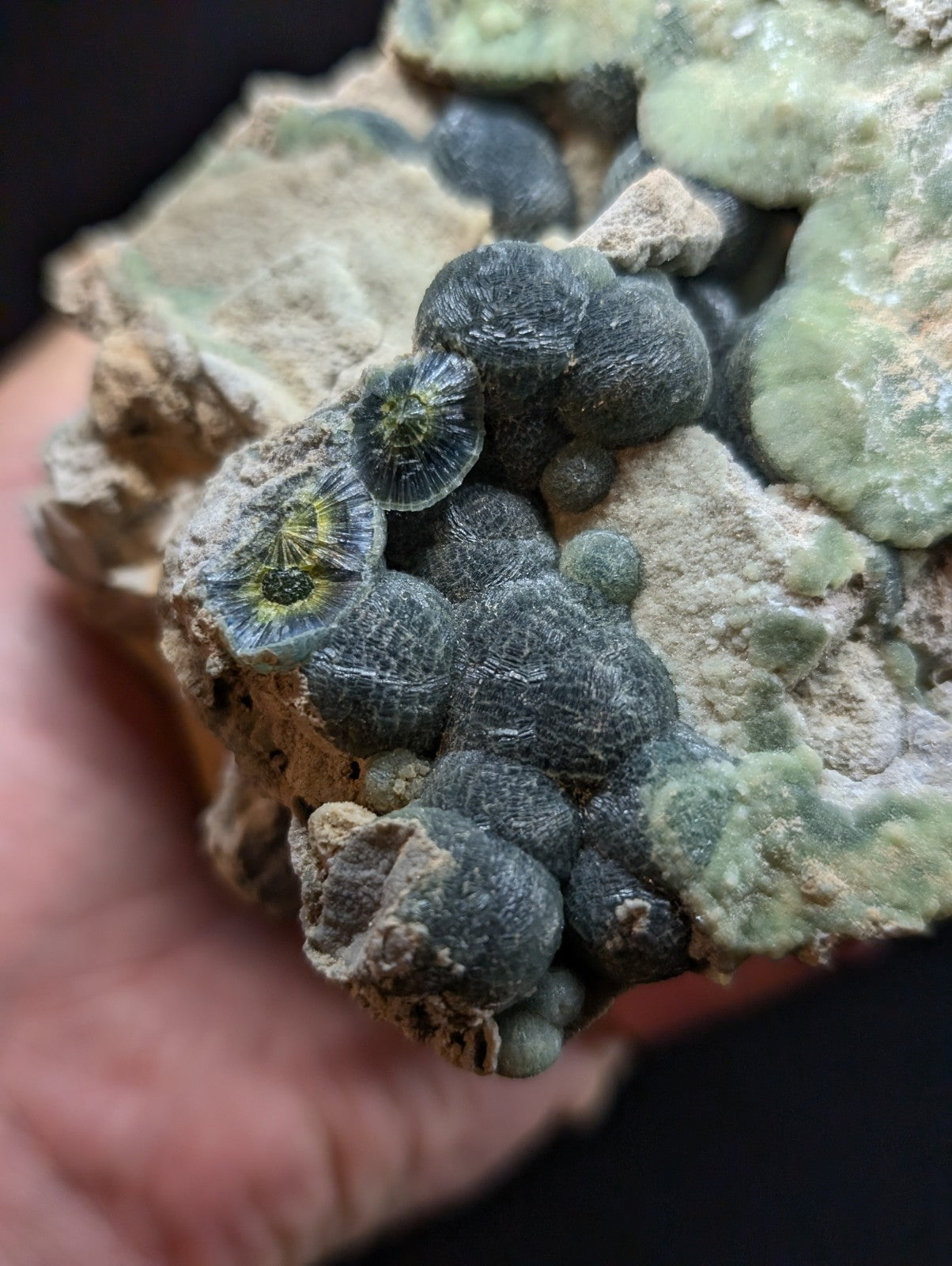 A cluster of dark gray, spherical mineral formations with intricate green and yellow crystalline centers nestled within a rough, light-colored rock matrix.