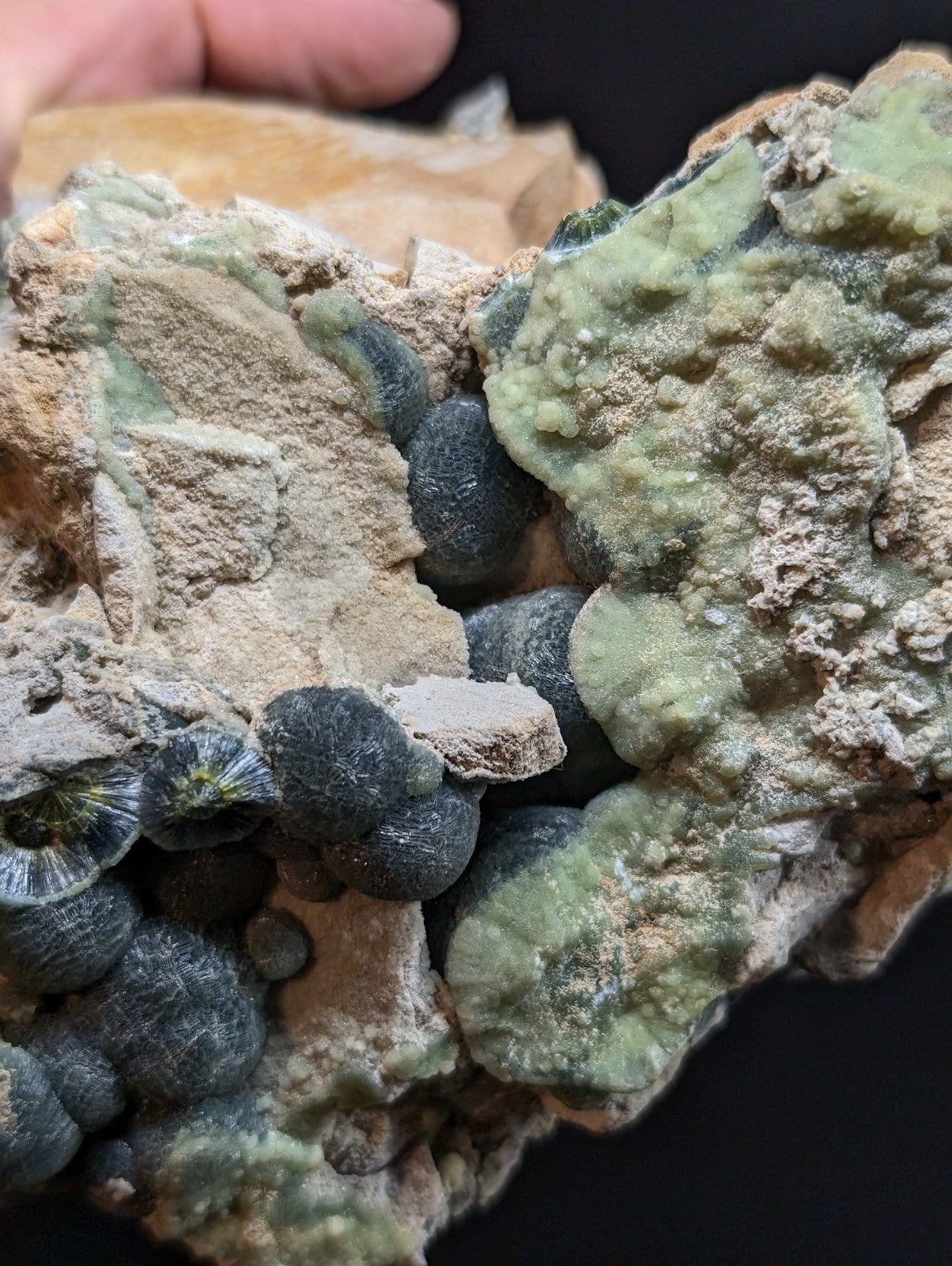 A cluster of dark blue, spherical mineral formations nestled within a matrix of light green and beige rock.