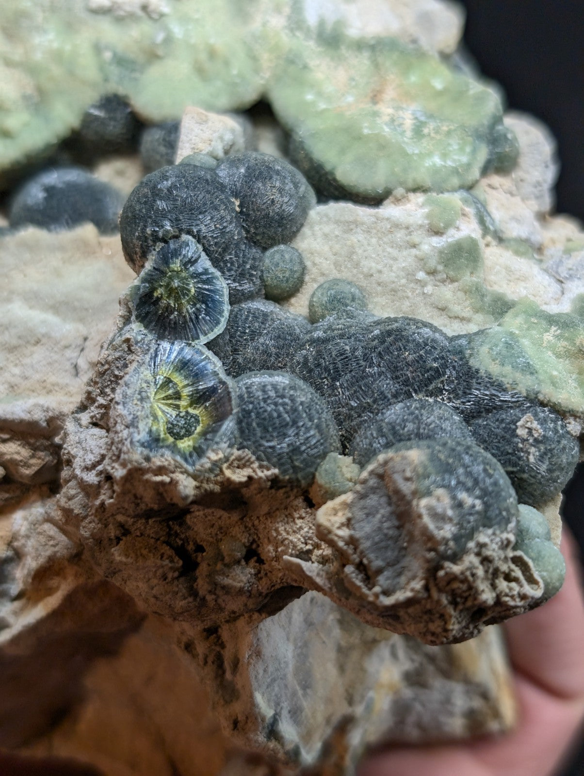 A striking cluster of dark gray, spherical chrysocolla formations with vibrant green centers nestled within a rugged matrix of light-colored rock.