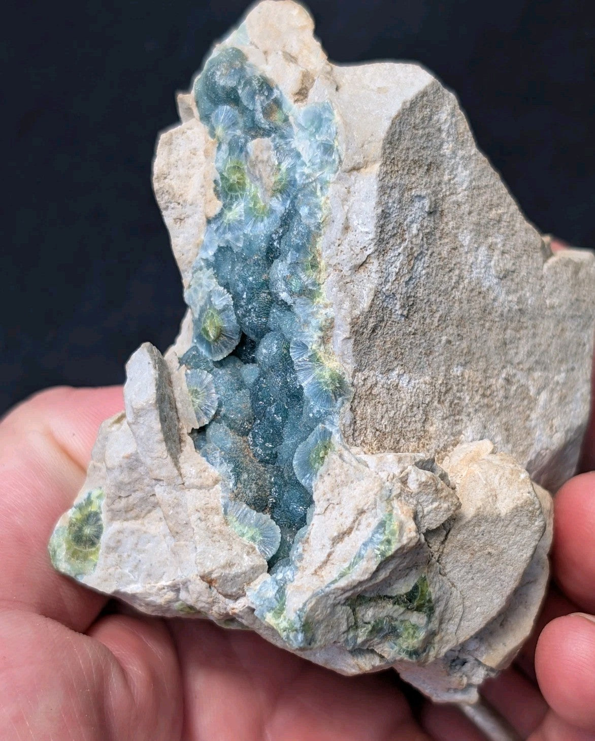 A striking blue-green fluorite crystal formation nestled within a rugged, light gray rock matrix.