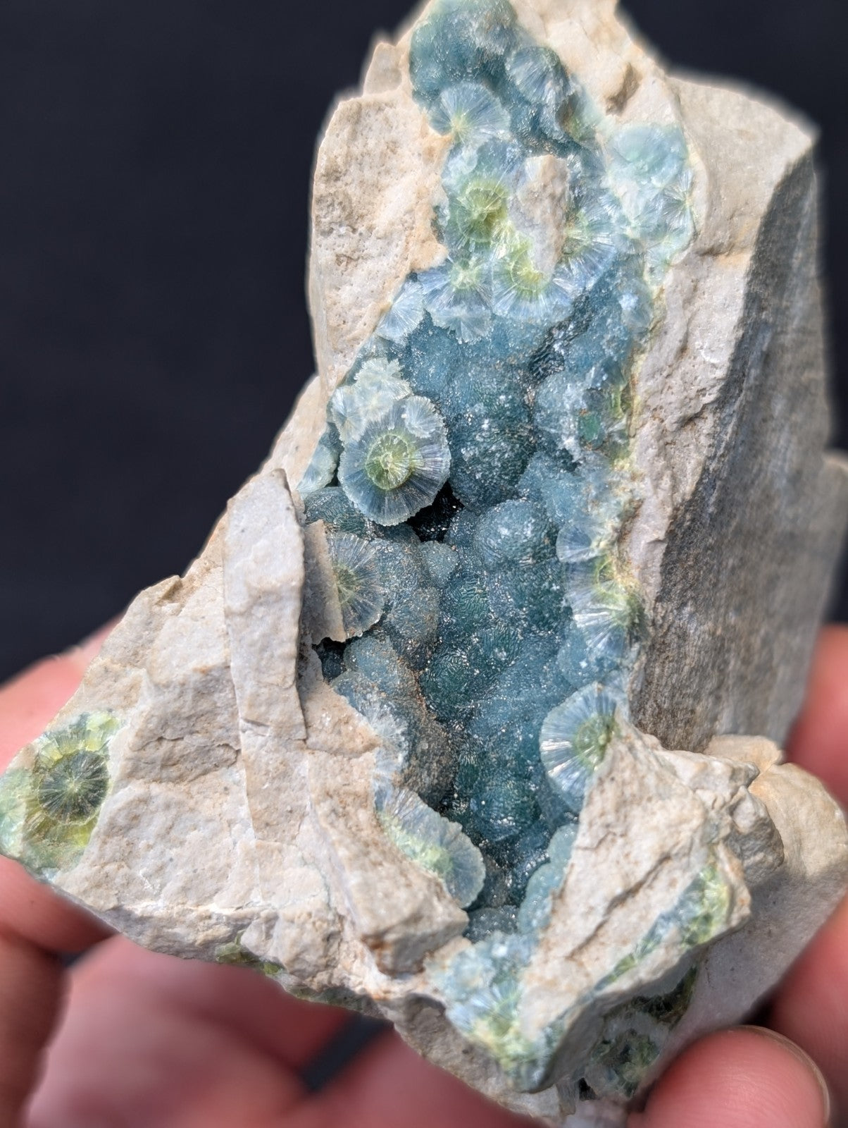 A striking blue-green druzy geode with intricate, crystalline formations nestled within a rough, beige rock matrix.