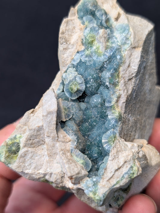 A striking blue-green druzy geode with intricate, crystalline formations nestled within a rough, beige rock matrix.