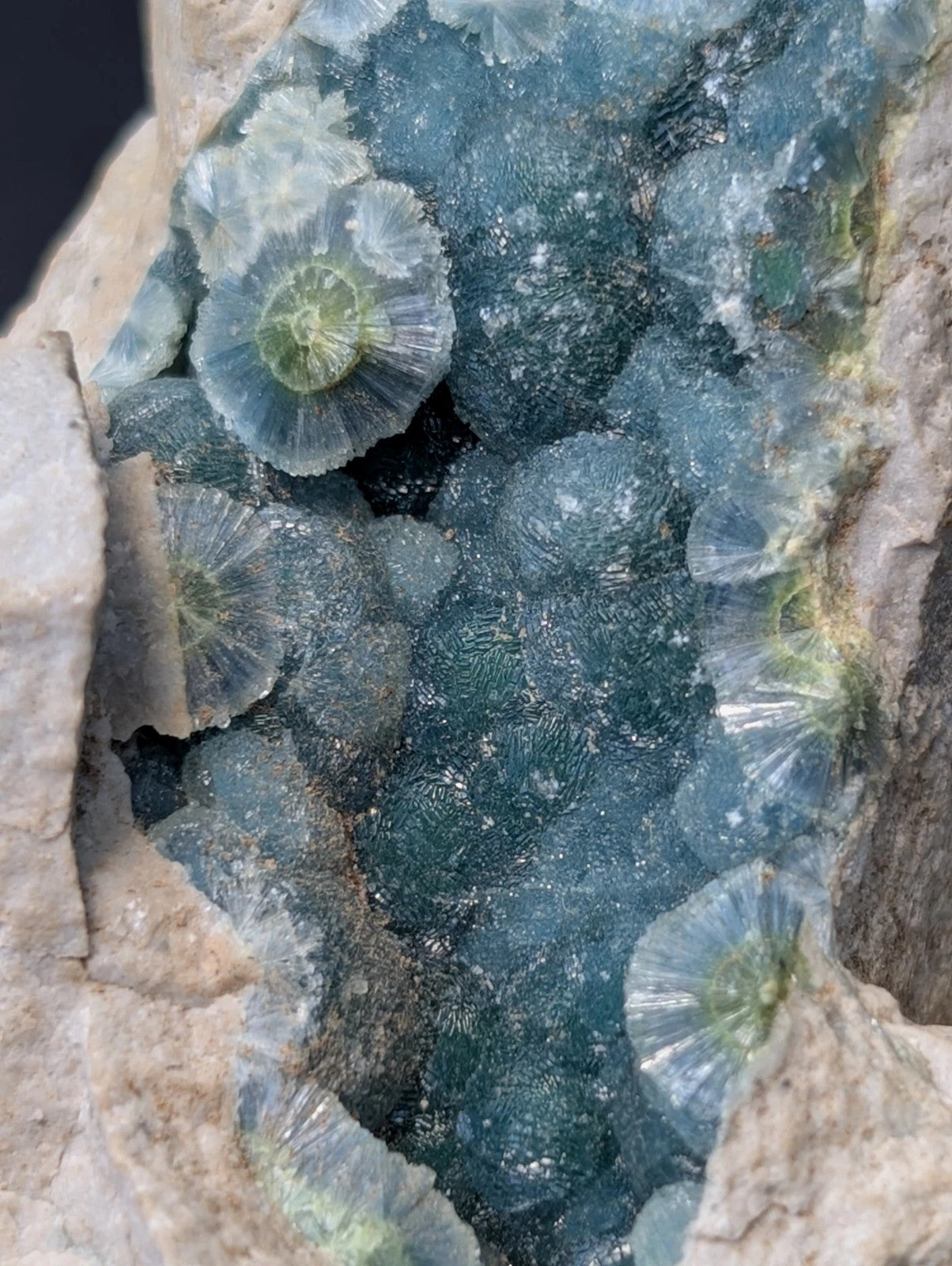 A cluster of translucent blue-green fluorite crystals with delicate, fan-like radial patterns and a subtle greenish center.