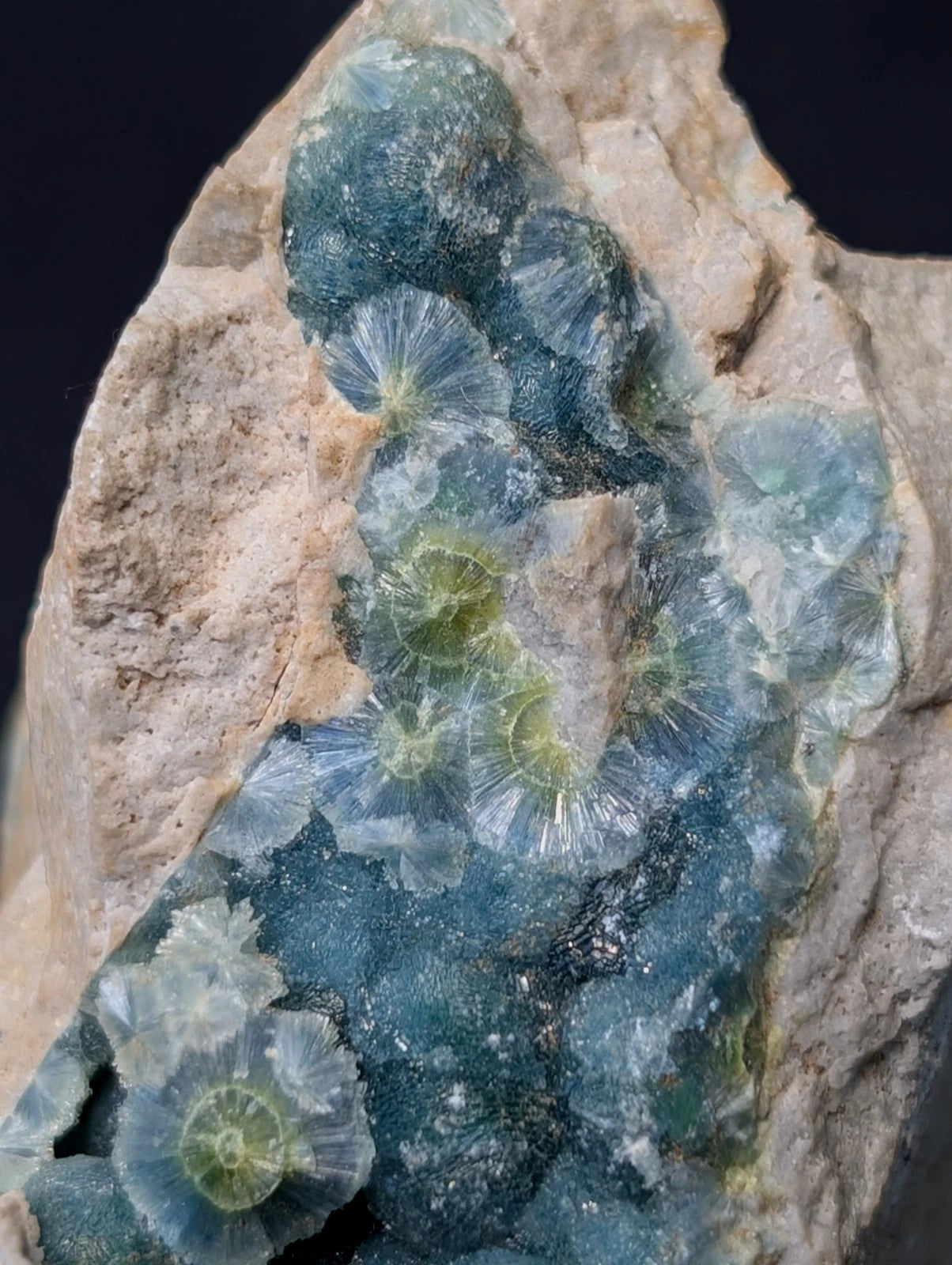 A striking blue-green dendritic quartz specimen with intricate, fan-like crystalline formations embedded in a rough beige rock matrix.