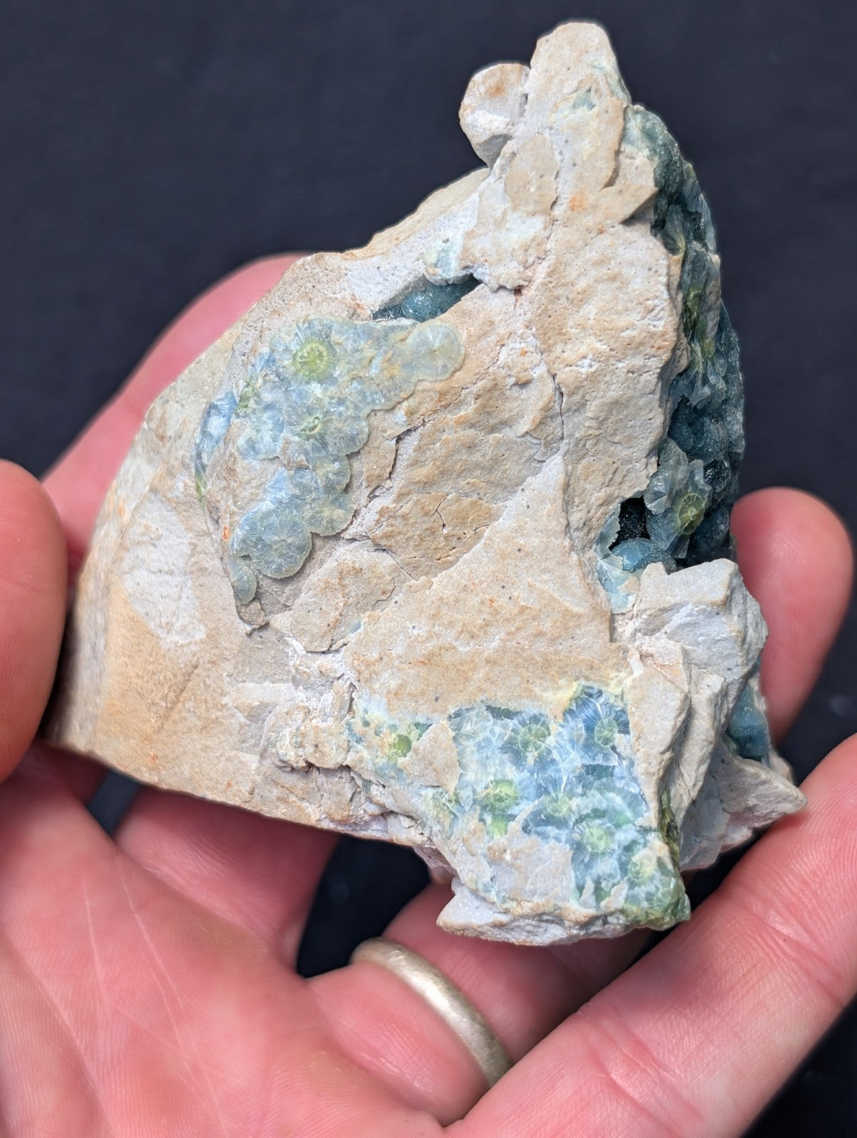 A hand holds a rough, light beige rock specimen featuring clusters of translucent blue-green mineral formations with subtle green speckles.