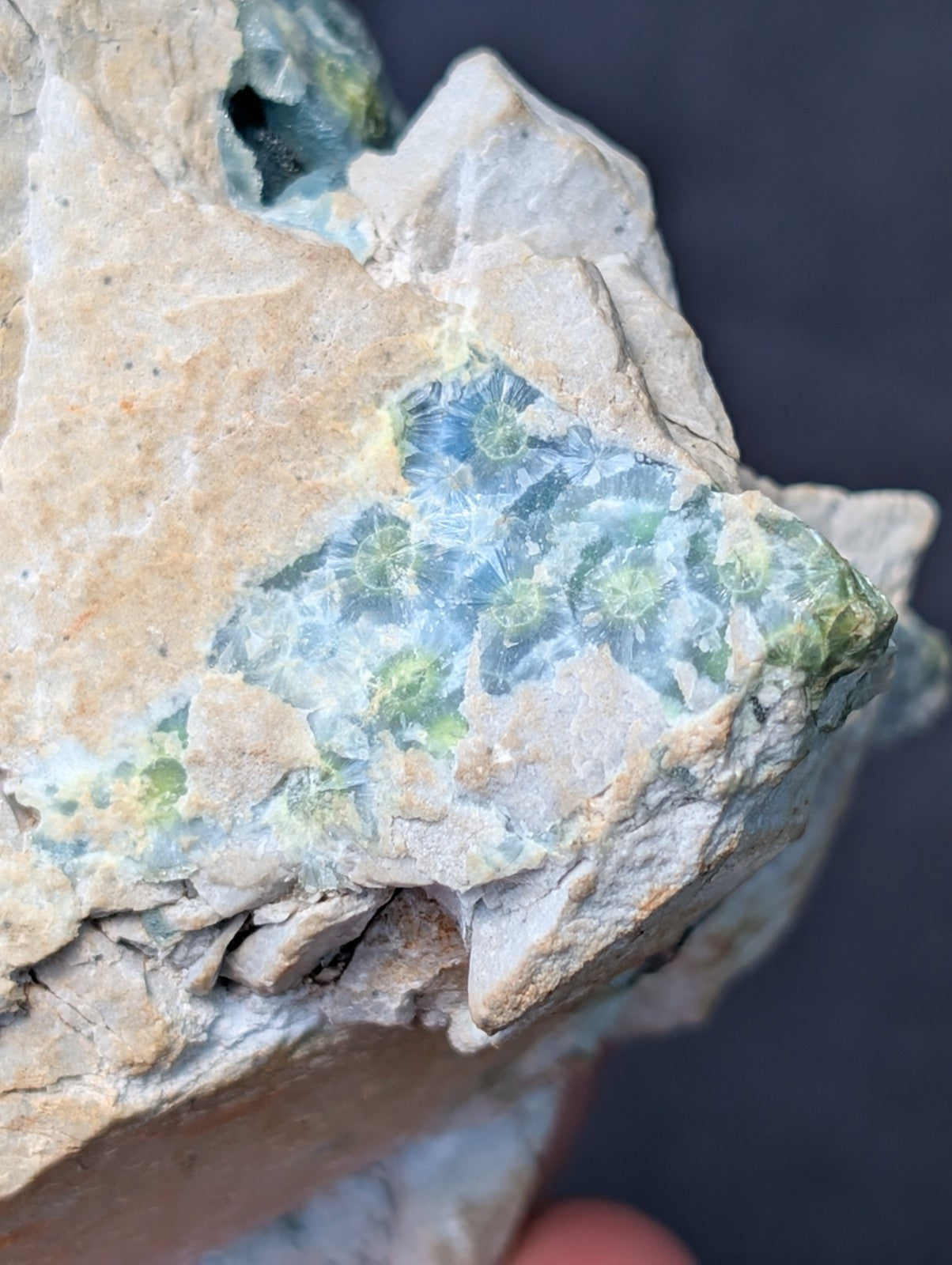 A rough, light beige rock with a striking patch of translucent blue-green mineral formations featuring circular patterns.