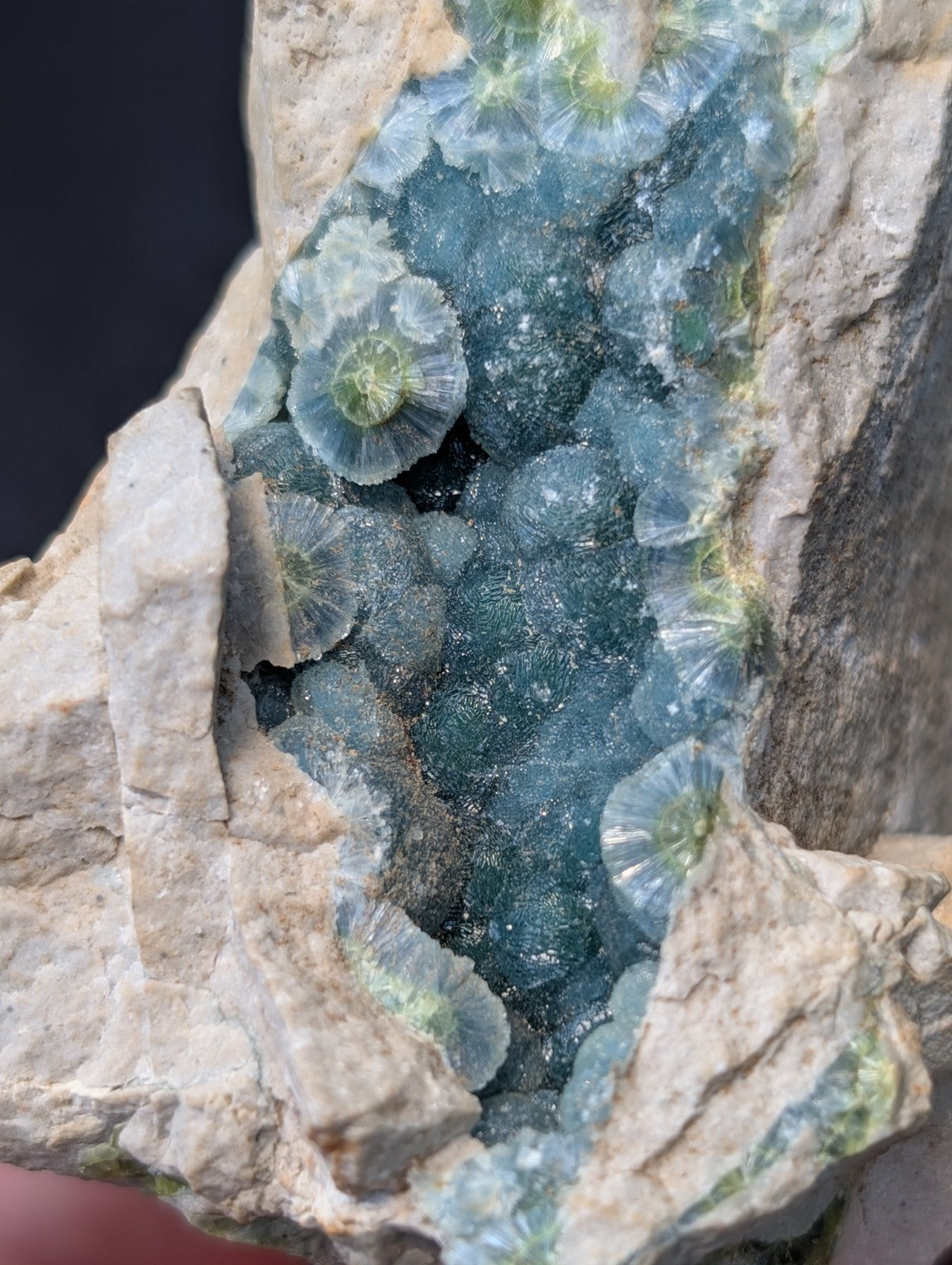 A striking blue-green geode with translucent, petal-like crystal formations nestled within a rugged, light-colored rock matrix.
