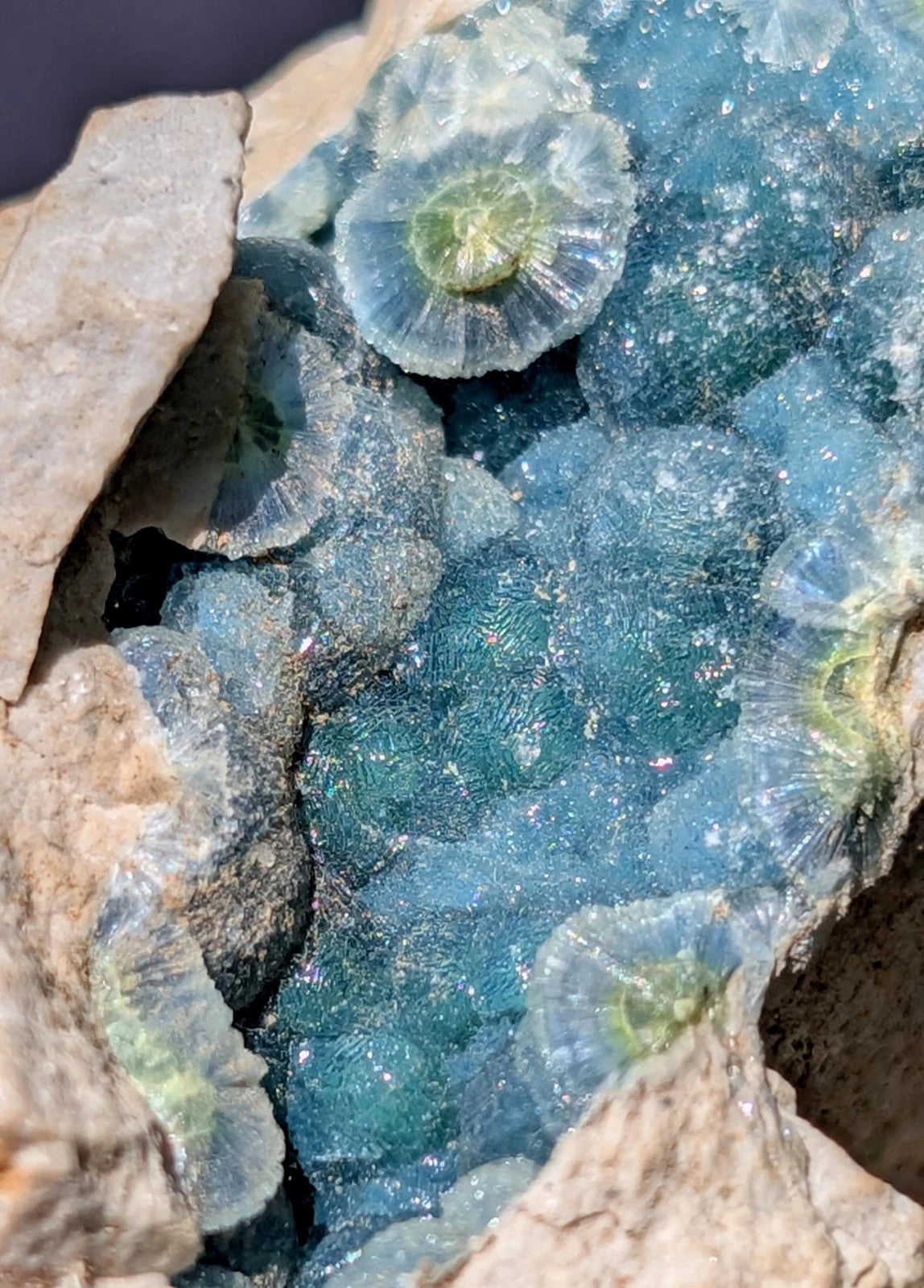A cluster of translucent blue-green fluorite crystals with a glassy luster, nestled within rough brown rock.