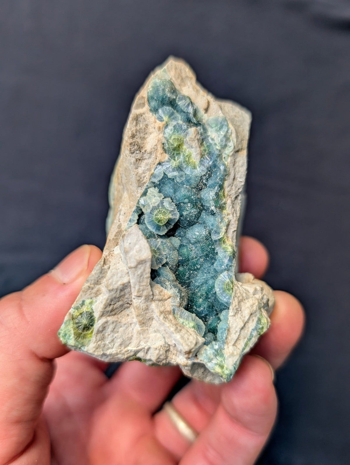 A hand holds a natural mineral specimen featuring vibrant blue-green crystalline formations nestled within a rough, light gray rock matrix.