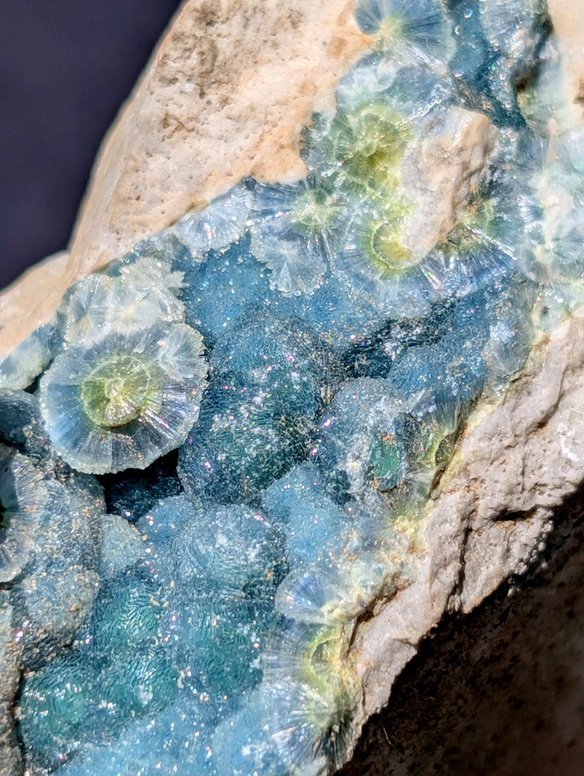 A translucent blue and green mineral specimen with intricate, fan-like crystalline formations embedded in a rough, beige rock matrix.