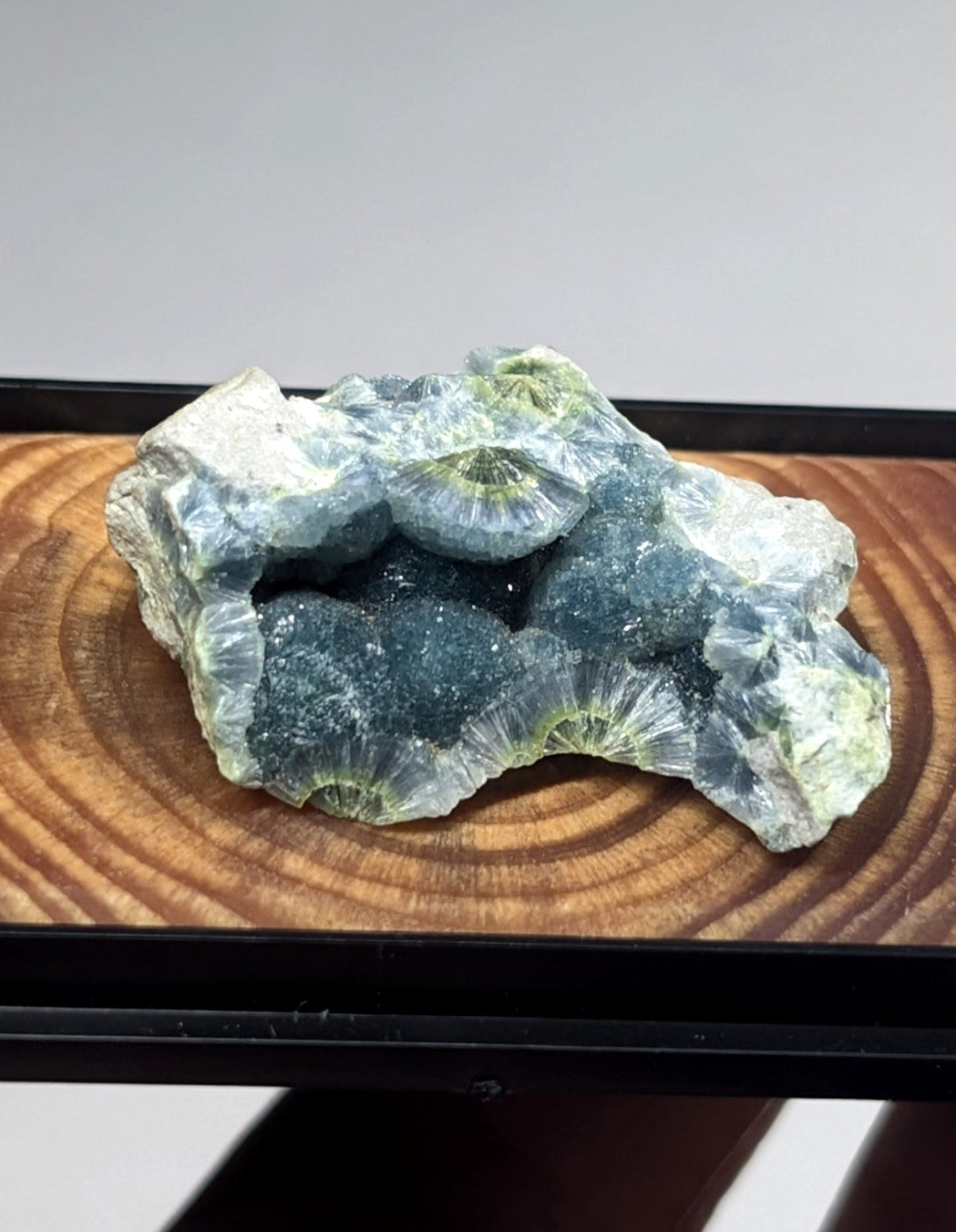 A striking blue-green geode with a crystalline, fan-like interior and a rougher outer surface.