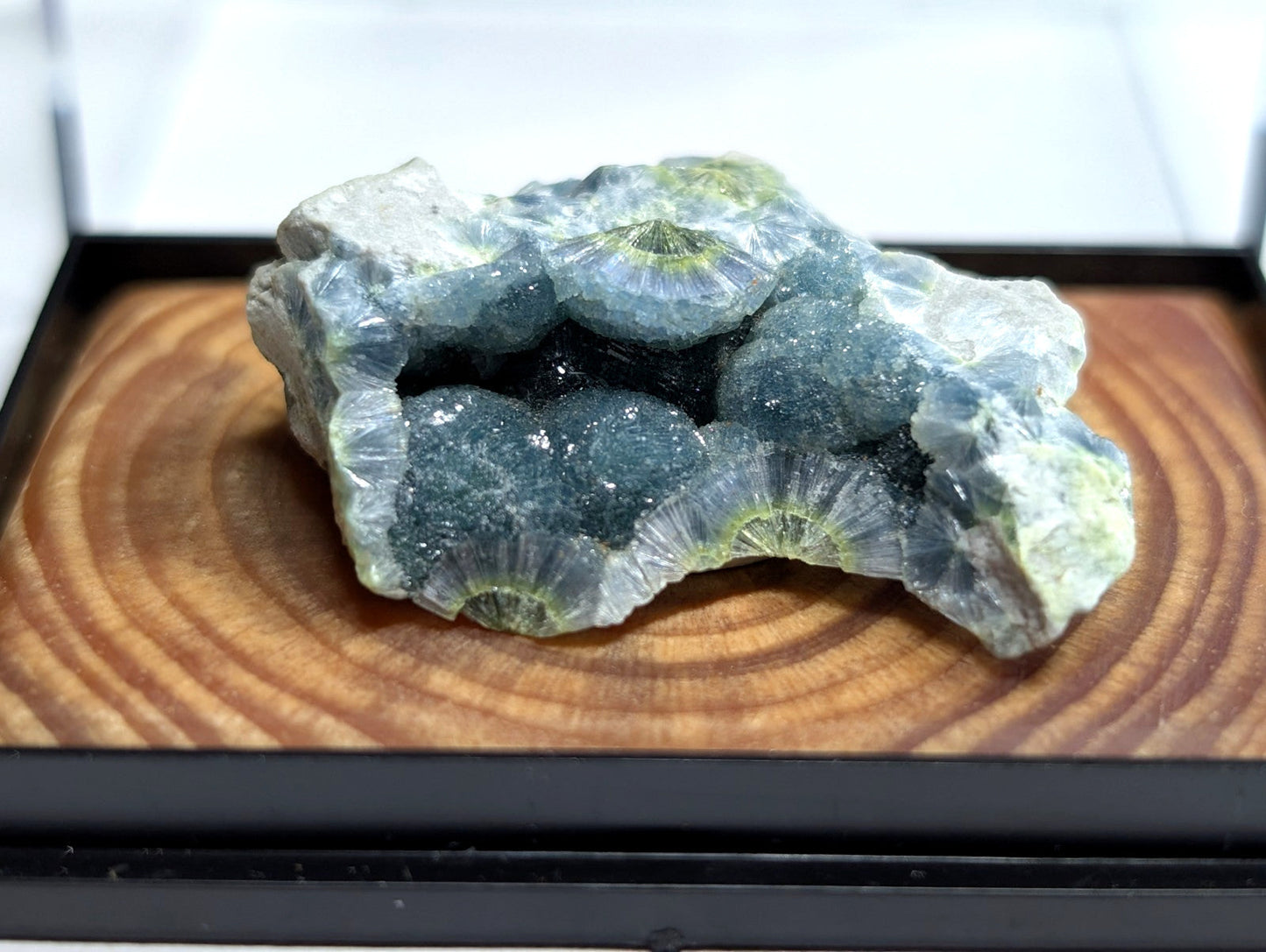 A striking blue-green geode with intricate, fan-like crystal formations and a translucent outer shell.
