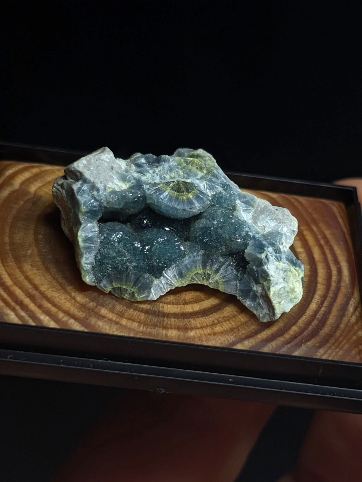A striking blue-green geode with intricate, fan-shaped crystal formations and a rough, natural rock exterior.
