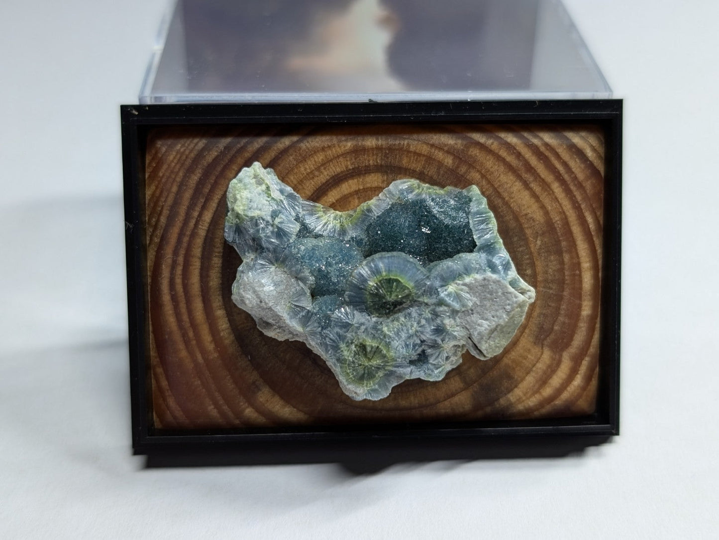 A striking green and translucent mineral specimen, showcasing intricate crystalline formations, is elegantly displayed within a sleek black-framed wooden showcase.