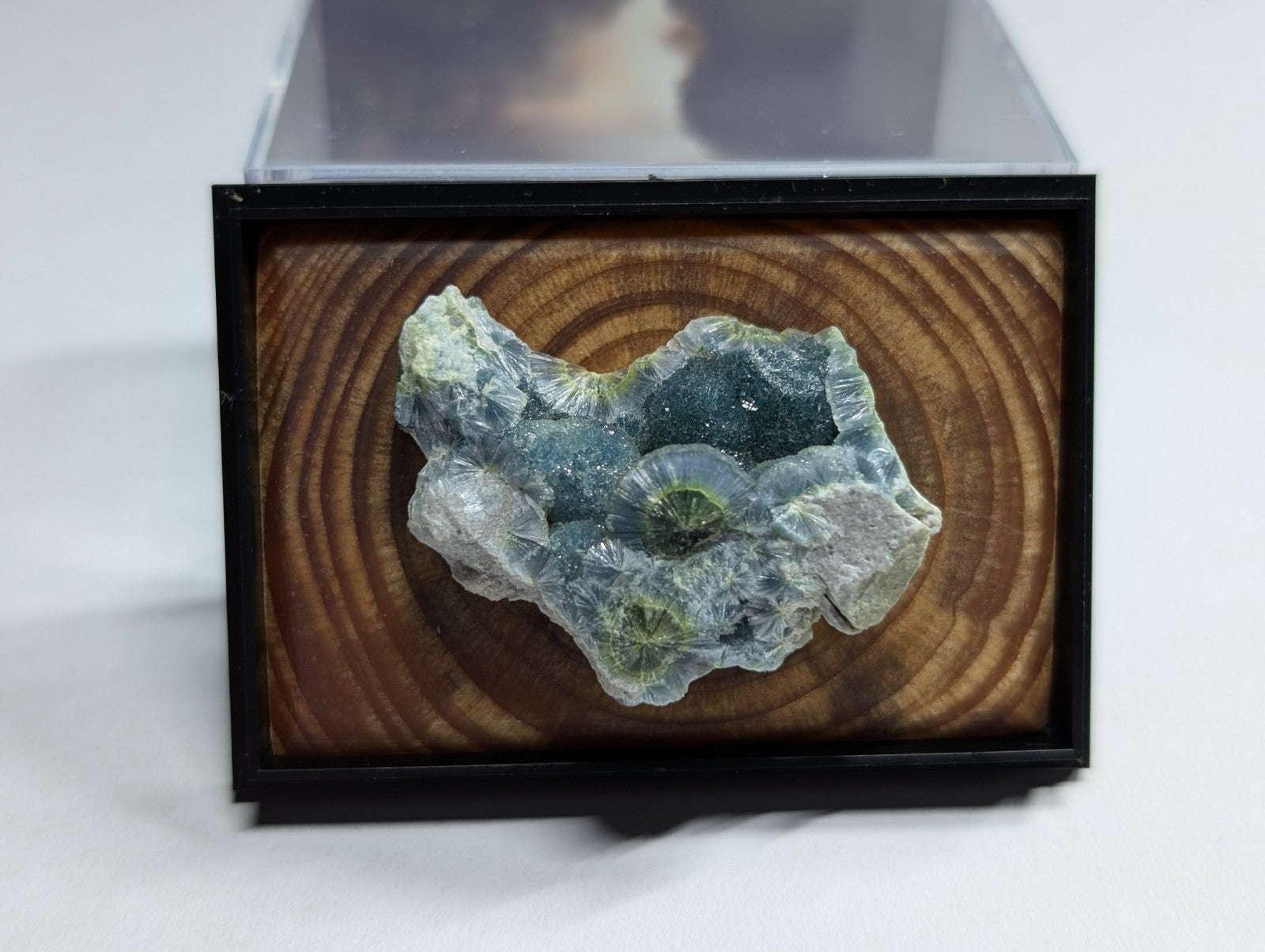 A striking green and translucent mineral specimen, showcasing intricate crystalline formations, is elegantly displayed within a sleek black-framed wooden showcase.