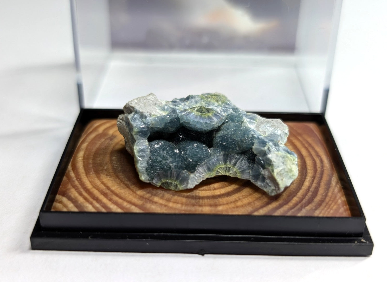 A striking green and gray geode with a crystalline interior, displayed in an elegant black acrylic case on a wooden base.
